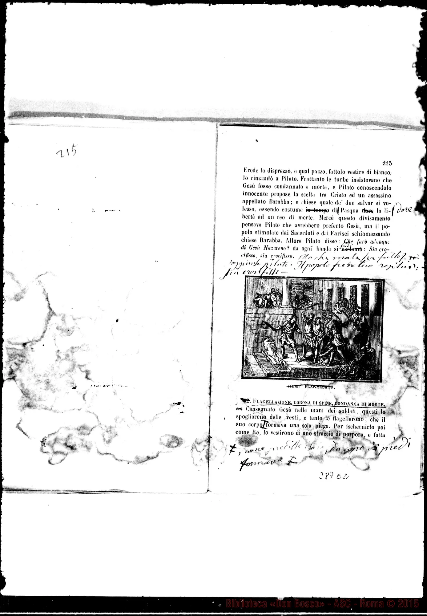 Fotogramma E 2