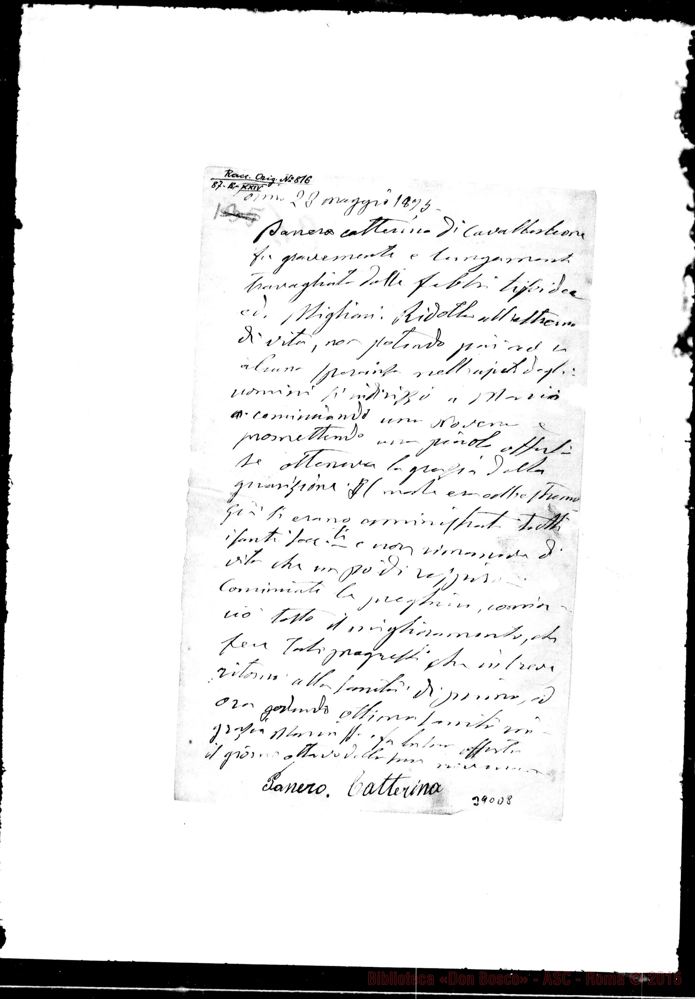 Fotogramma D 8 — Panerò Catterina