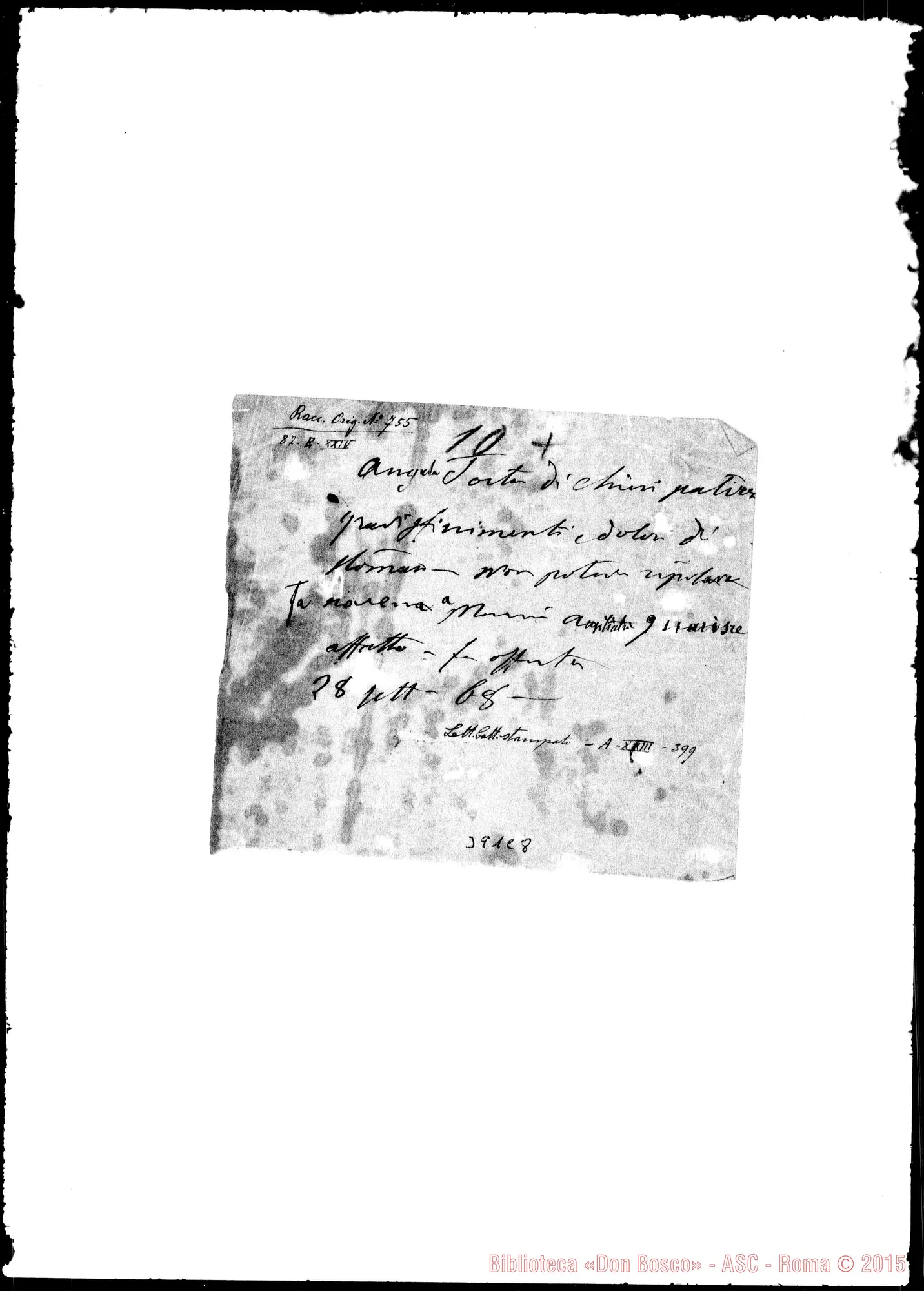 Fotogramma C 8 — Torta
