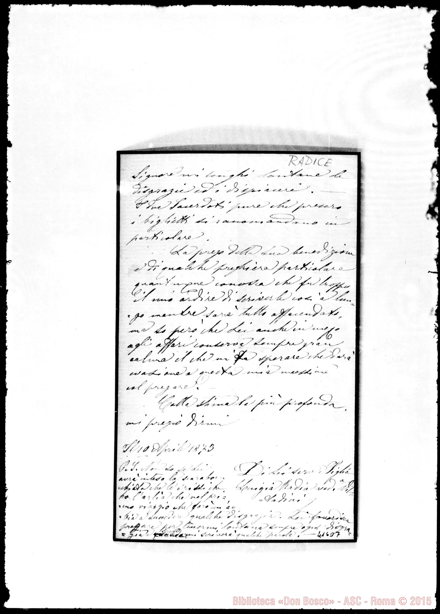 Fotogramma D 7 — Radice-Bosco