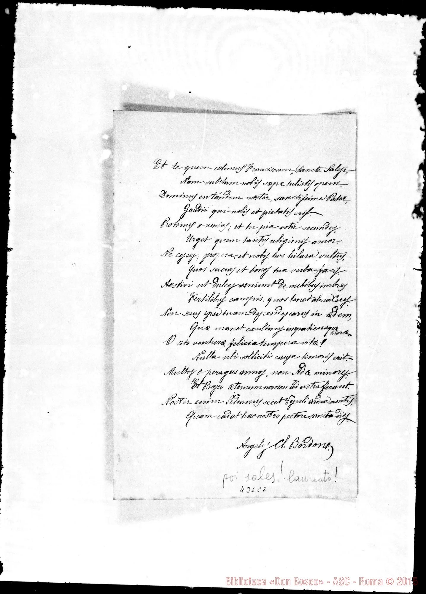 Fotogramma C 2 — Bordone. Elegia