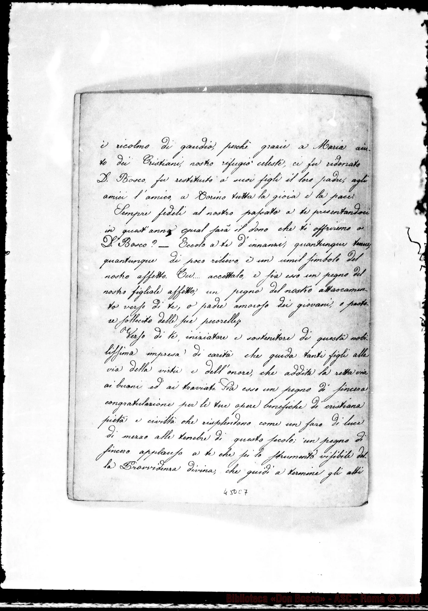 Fotogramma C 7
