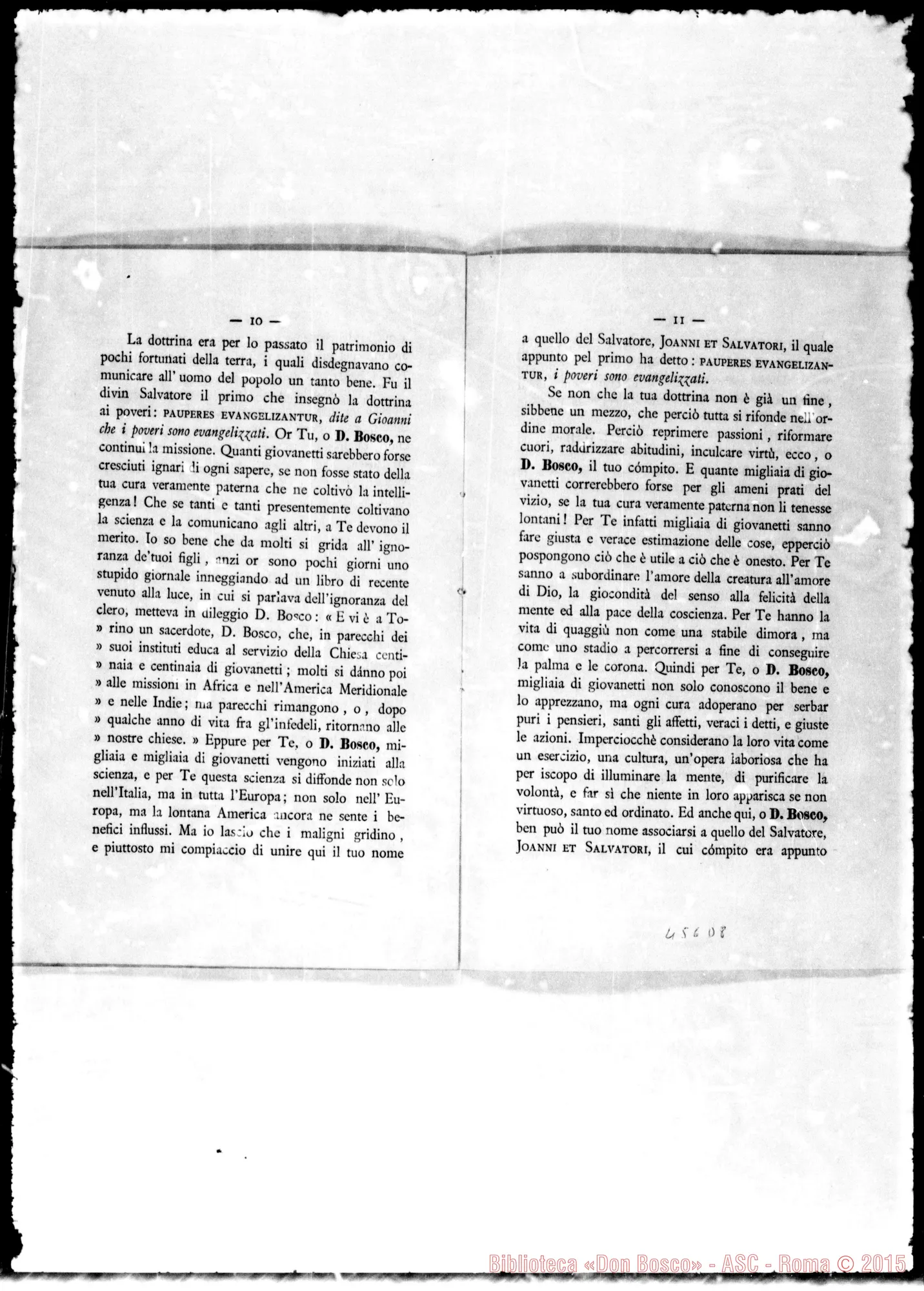 Fotogramma D 8