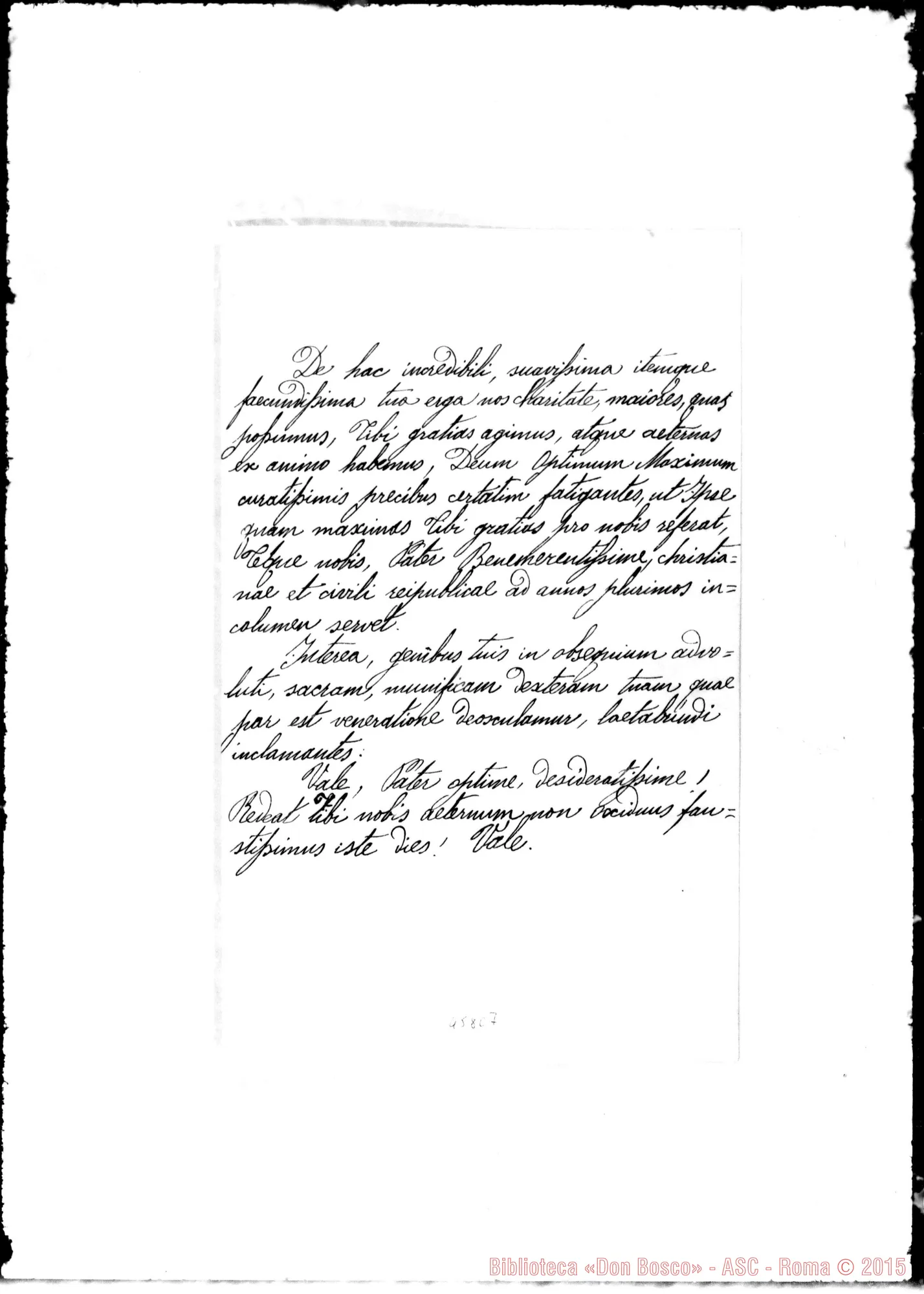 Fotogramma C 7