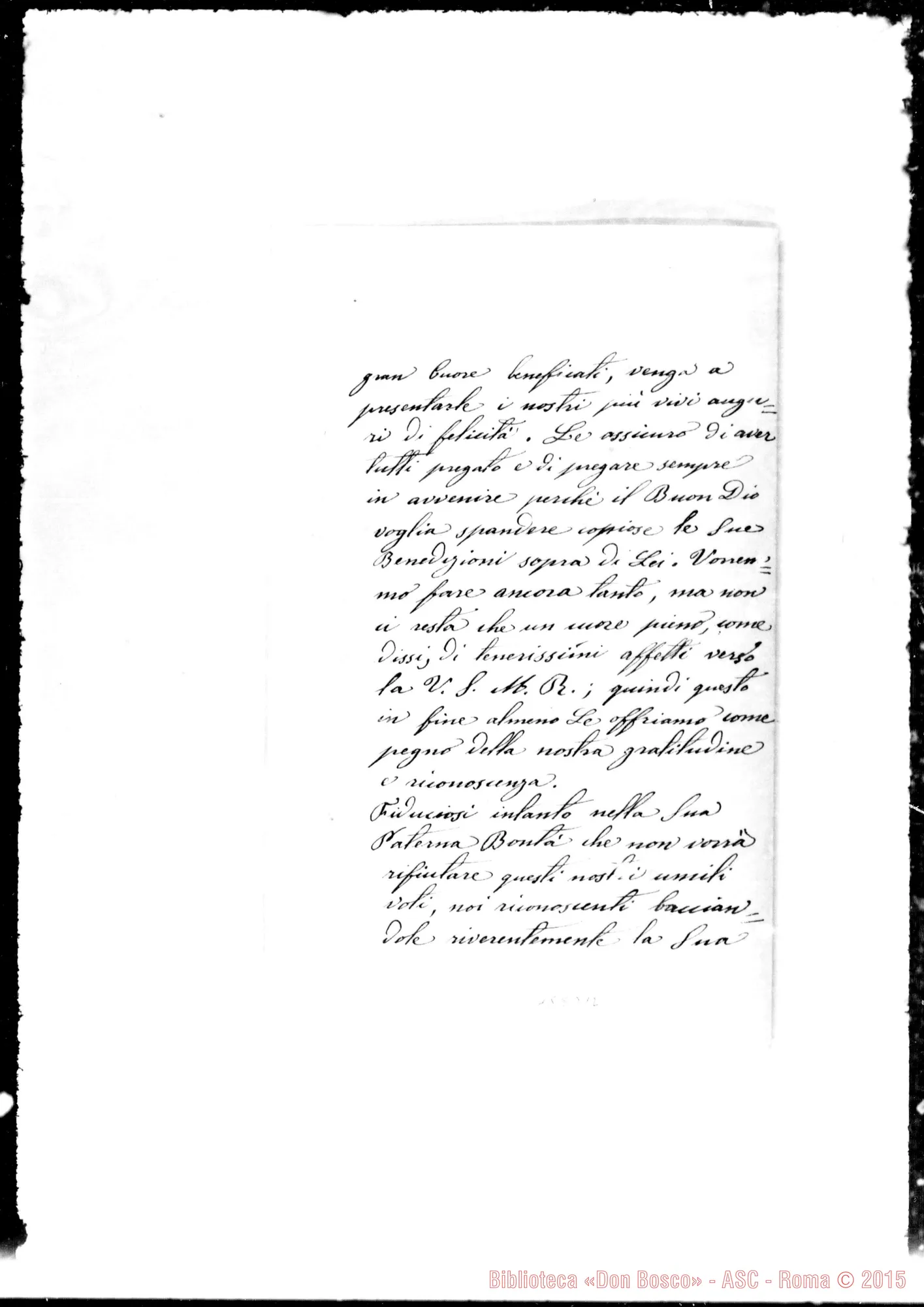 Fotogramma D 12