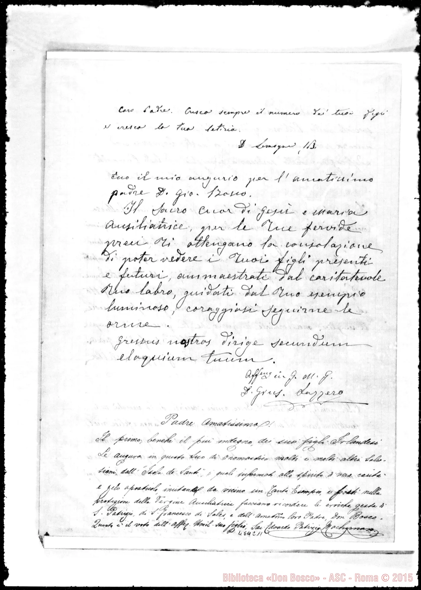 Fotogramma C 11