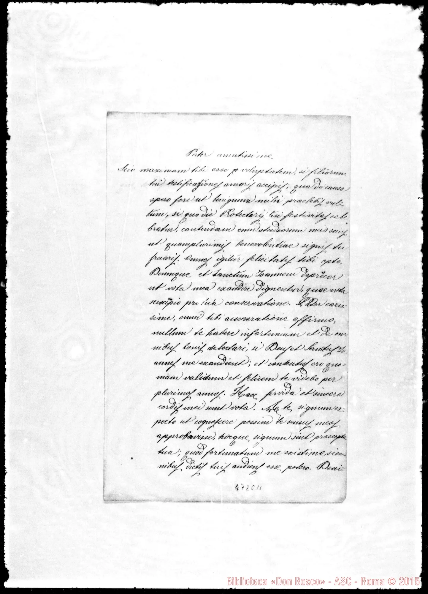 Fotogramma C 11