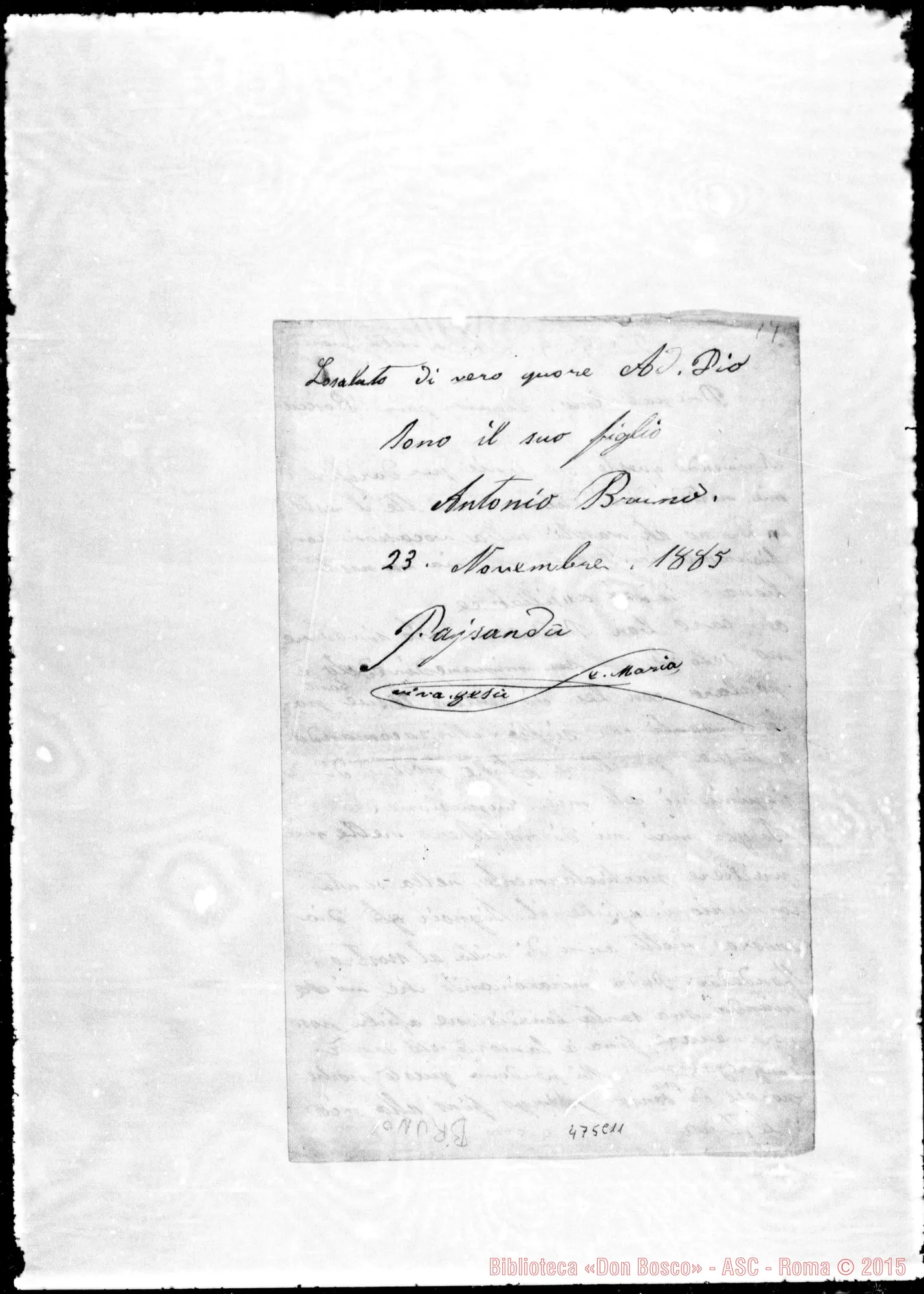 Fotogramma C 11