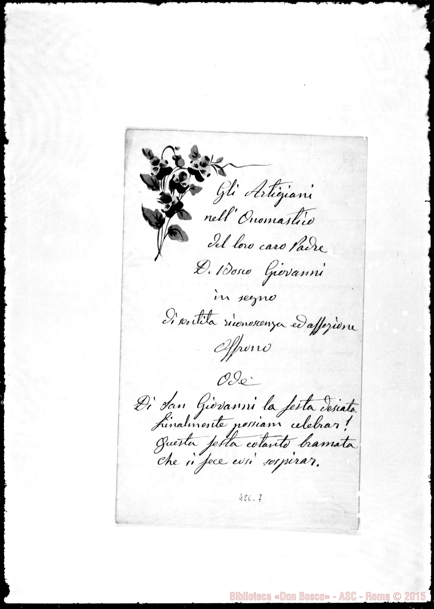 Fotogramma C 7