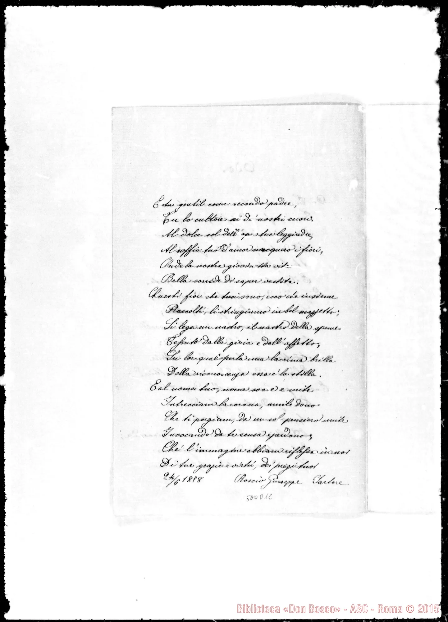 Fotogramma D 12