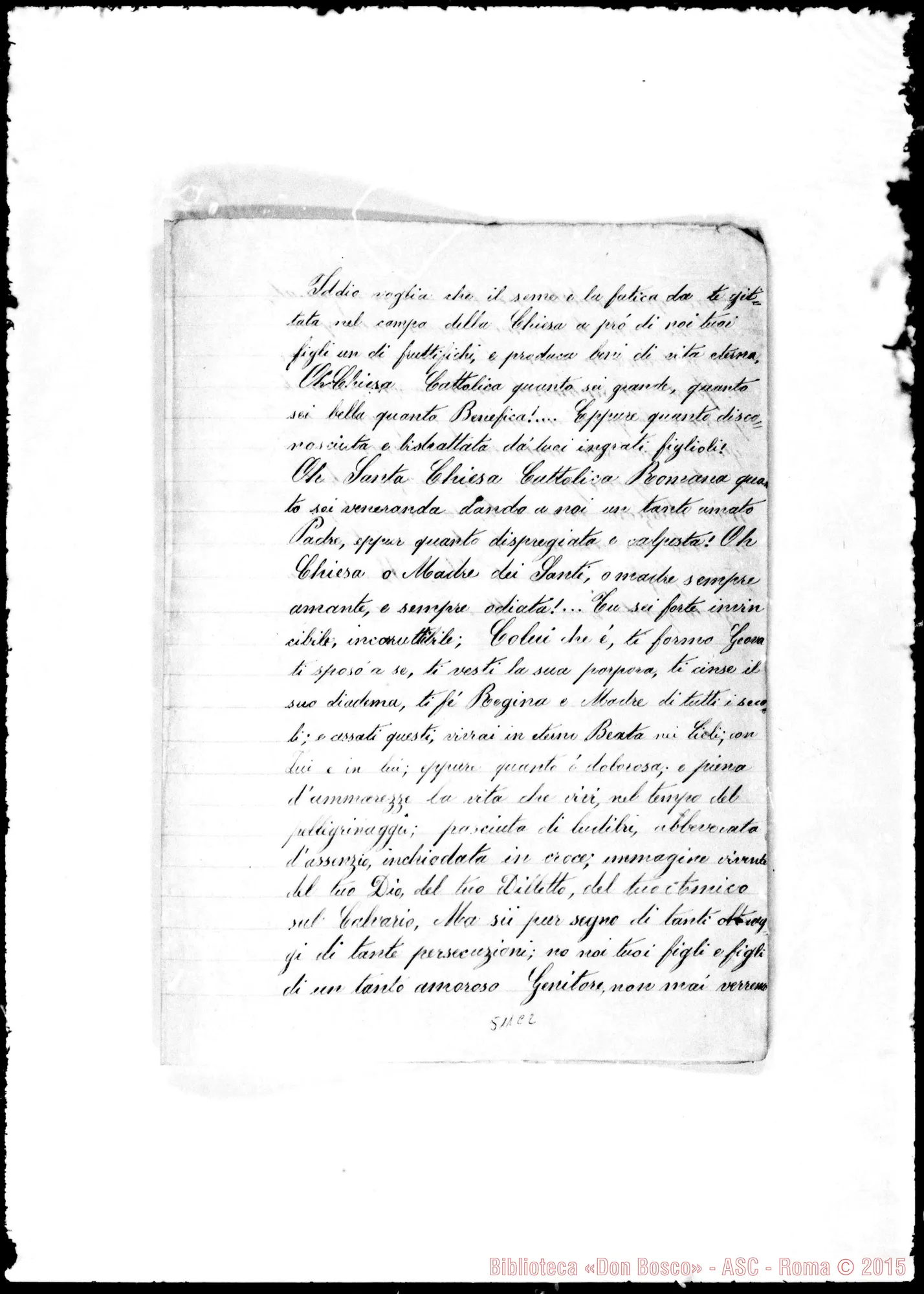 Fotogramma C 2