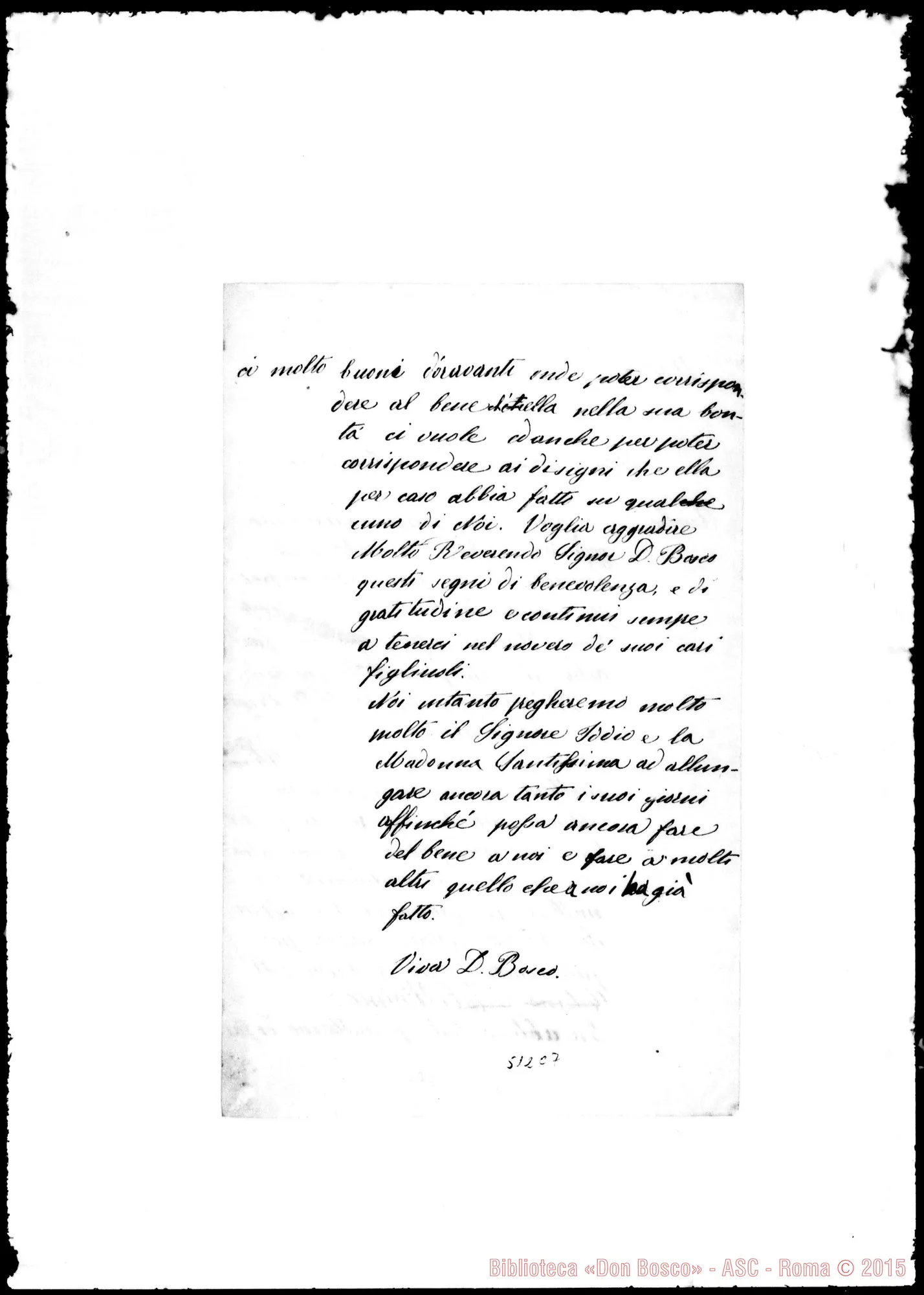 Fotogramma C 7