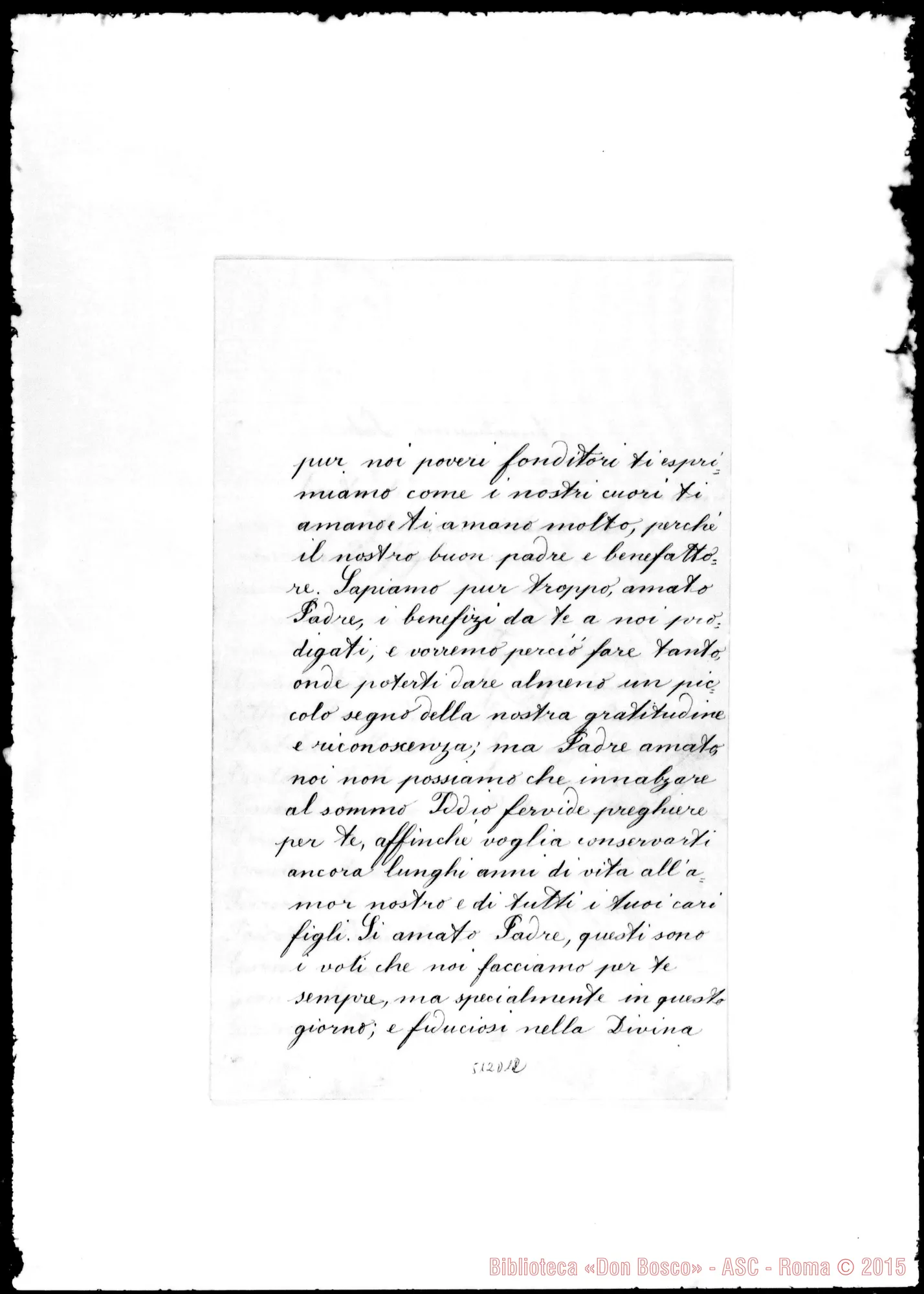 Fotogramma D 12