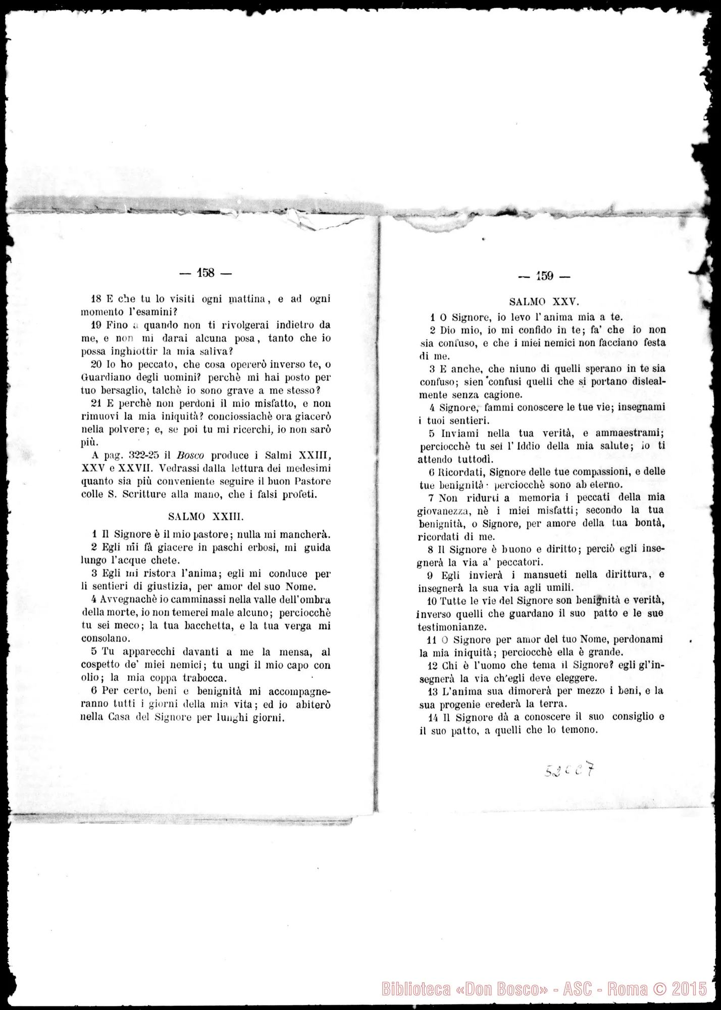 Fotogramma C 7