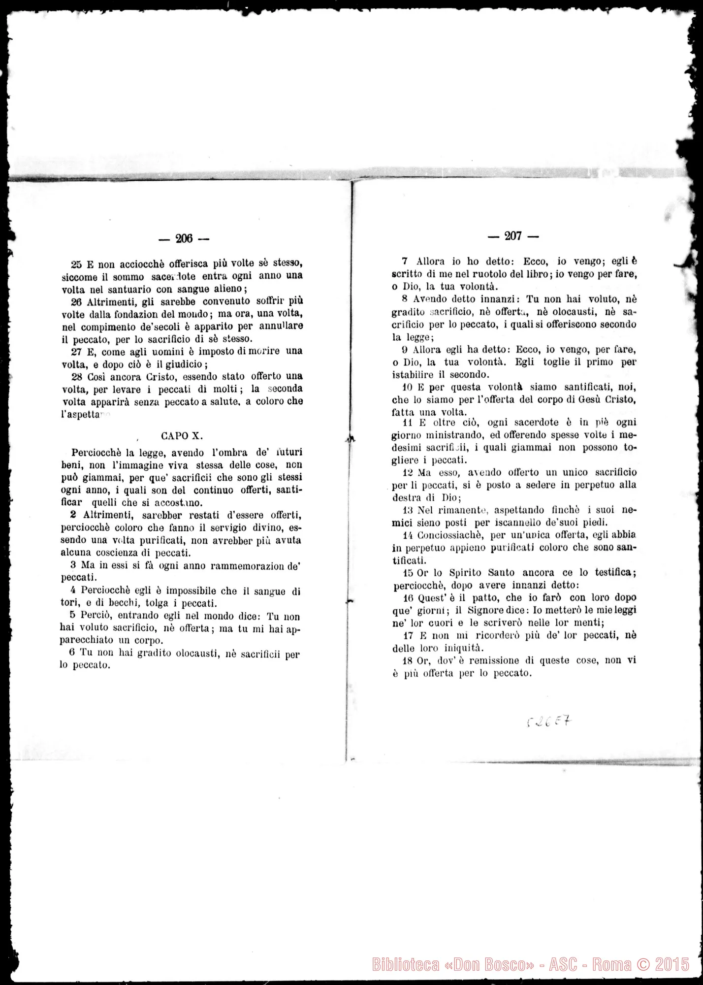 Fotogramma E 7