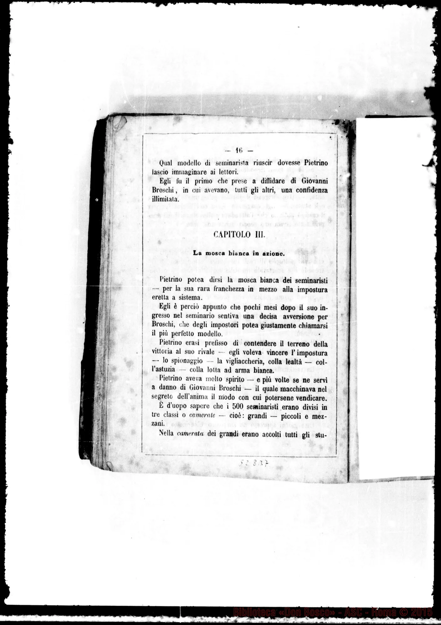 Fotogramma B 7 — Stampato: «Don Broschi di Valdivia». Cavaliere della Rocchetta