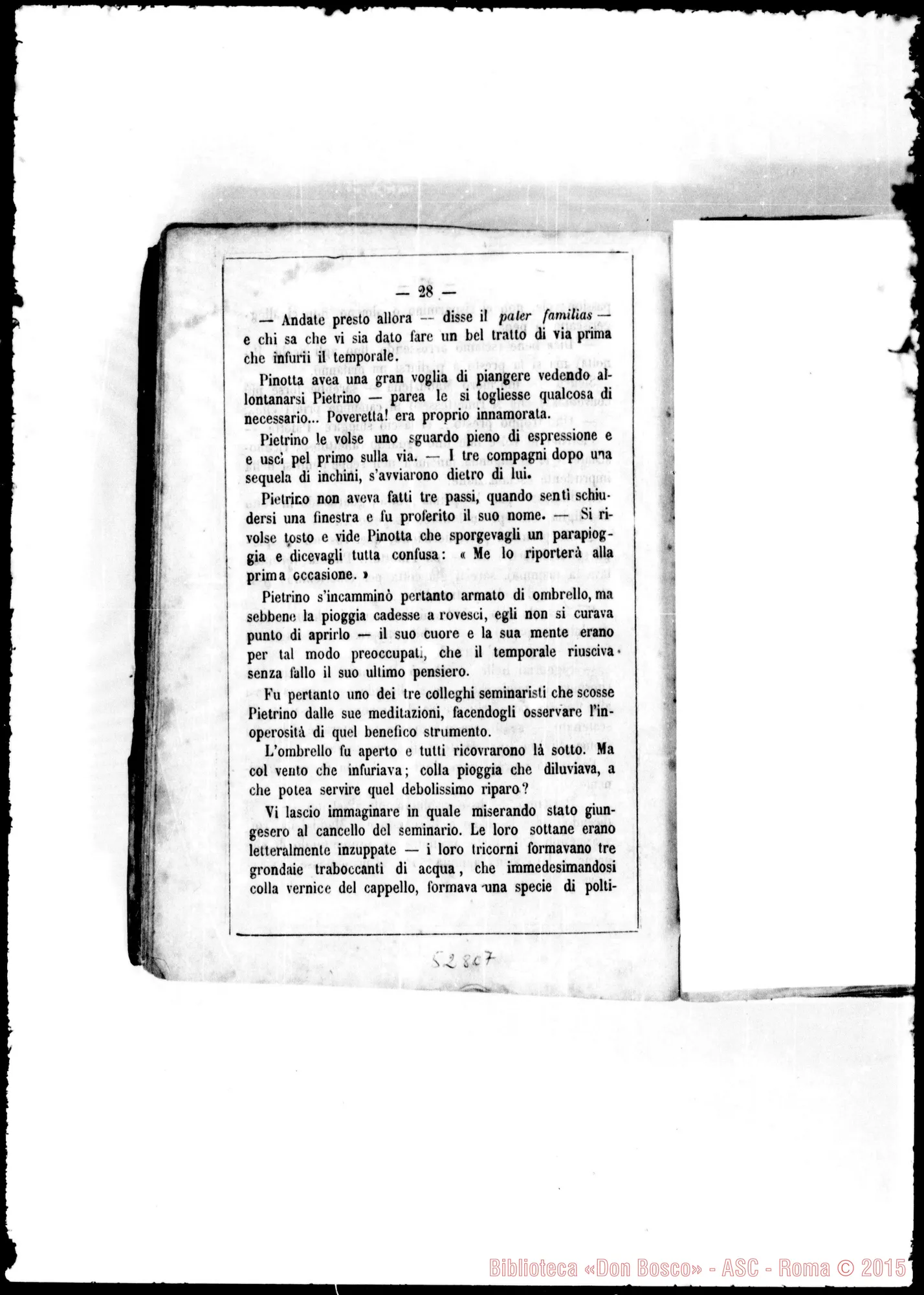 Fotogramma C 7 — Stampato: «Don Broschi di Valdivia». Cavaliere della Rocchetta