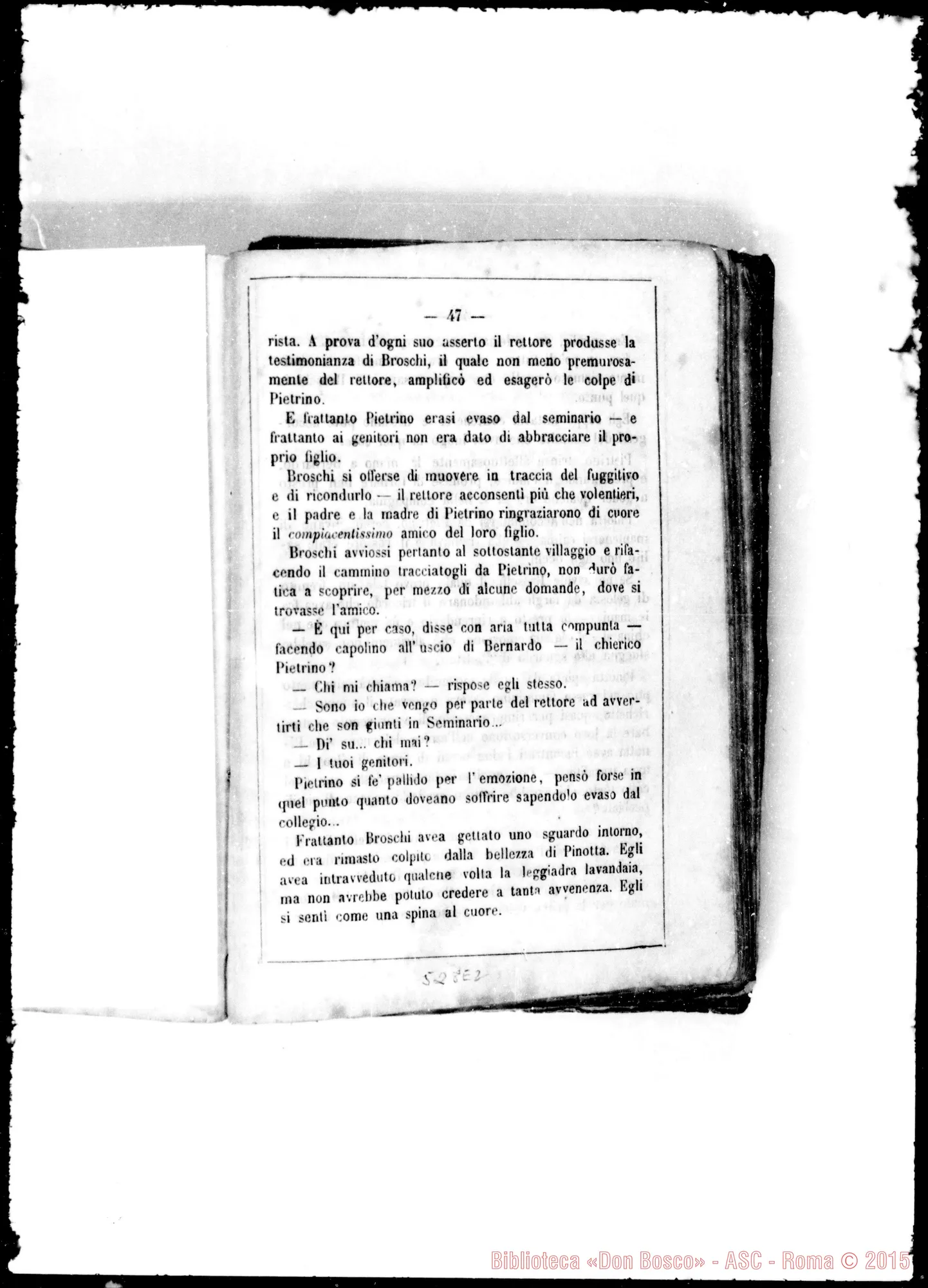 Fotogramma E 2 — Stampato: «Don Broschi di Valdivia». Cavaliere della Rocchetta