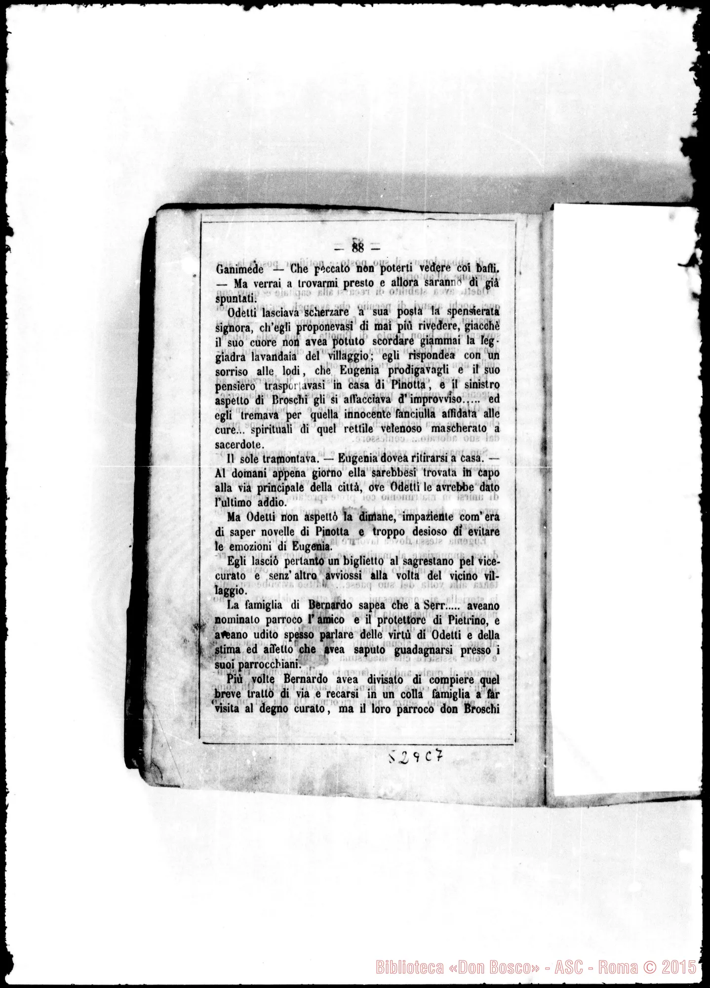 Fotogramma C 7 — Stampato: «Don Broschi di Valdivia». Cavaliere della Rocchetta