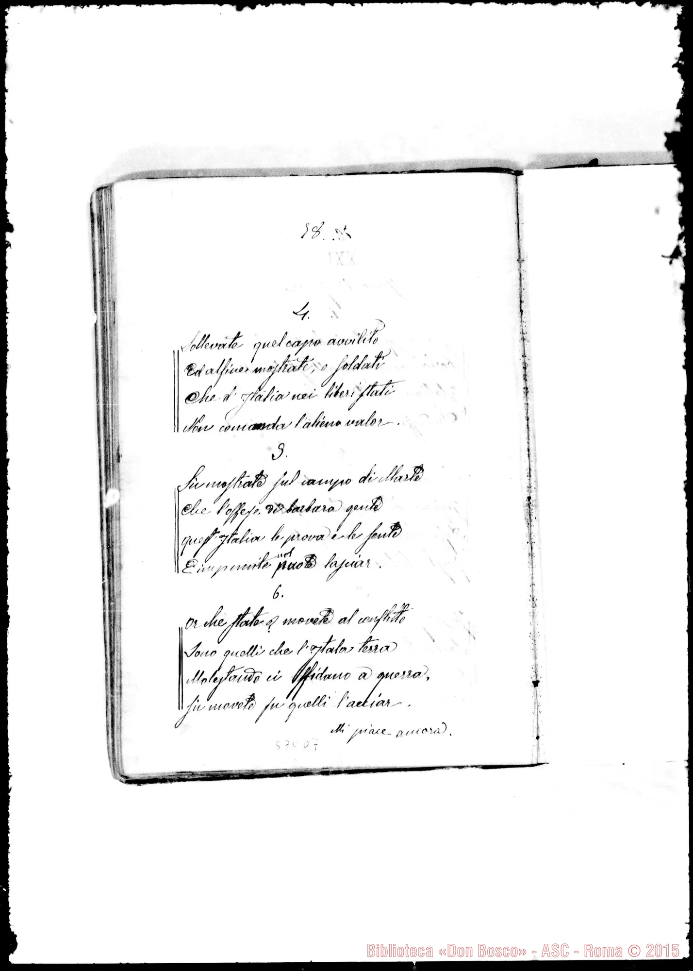 Fotogramma D 7