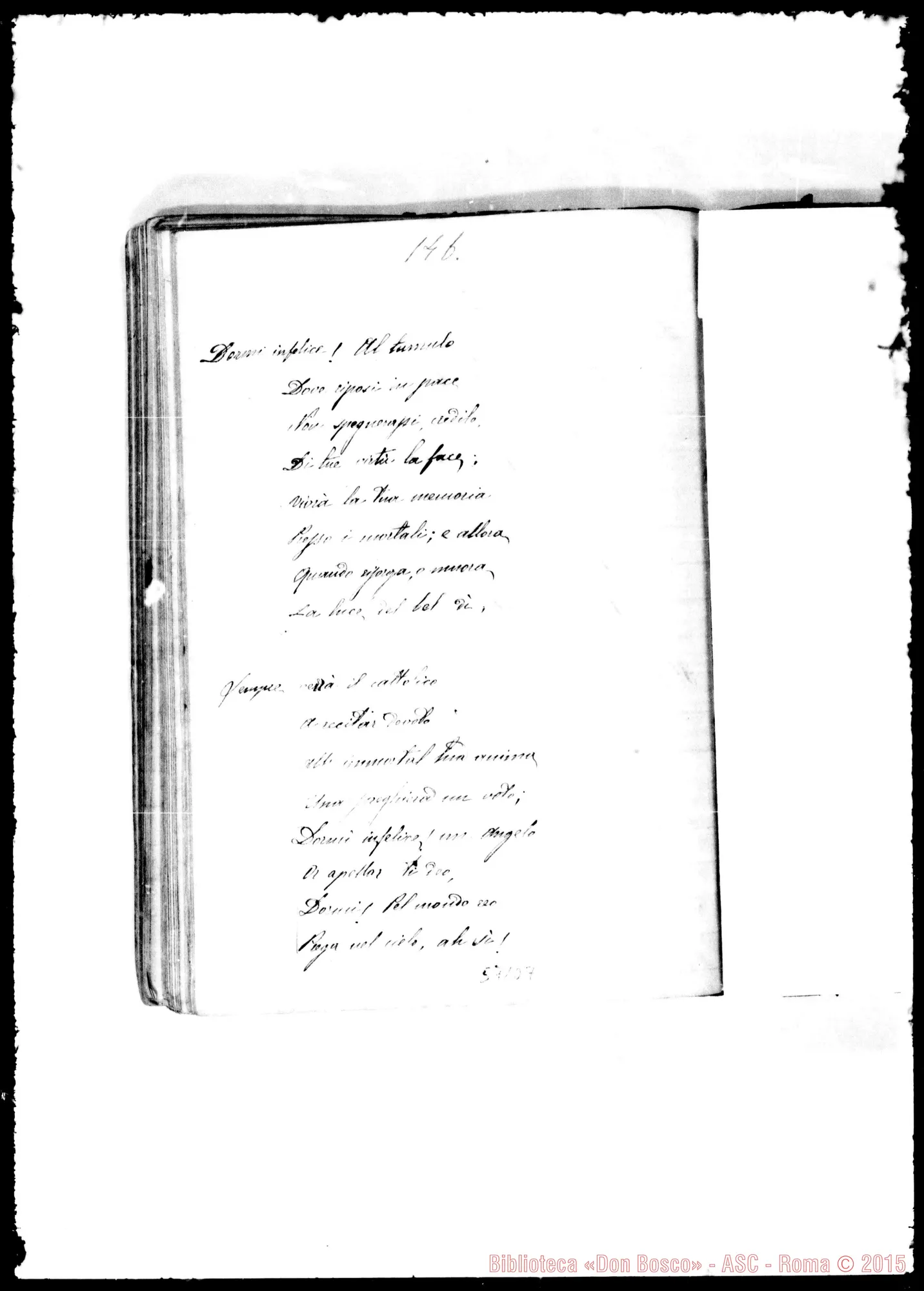 Fotogramma D 7