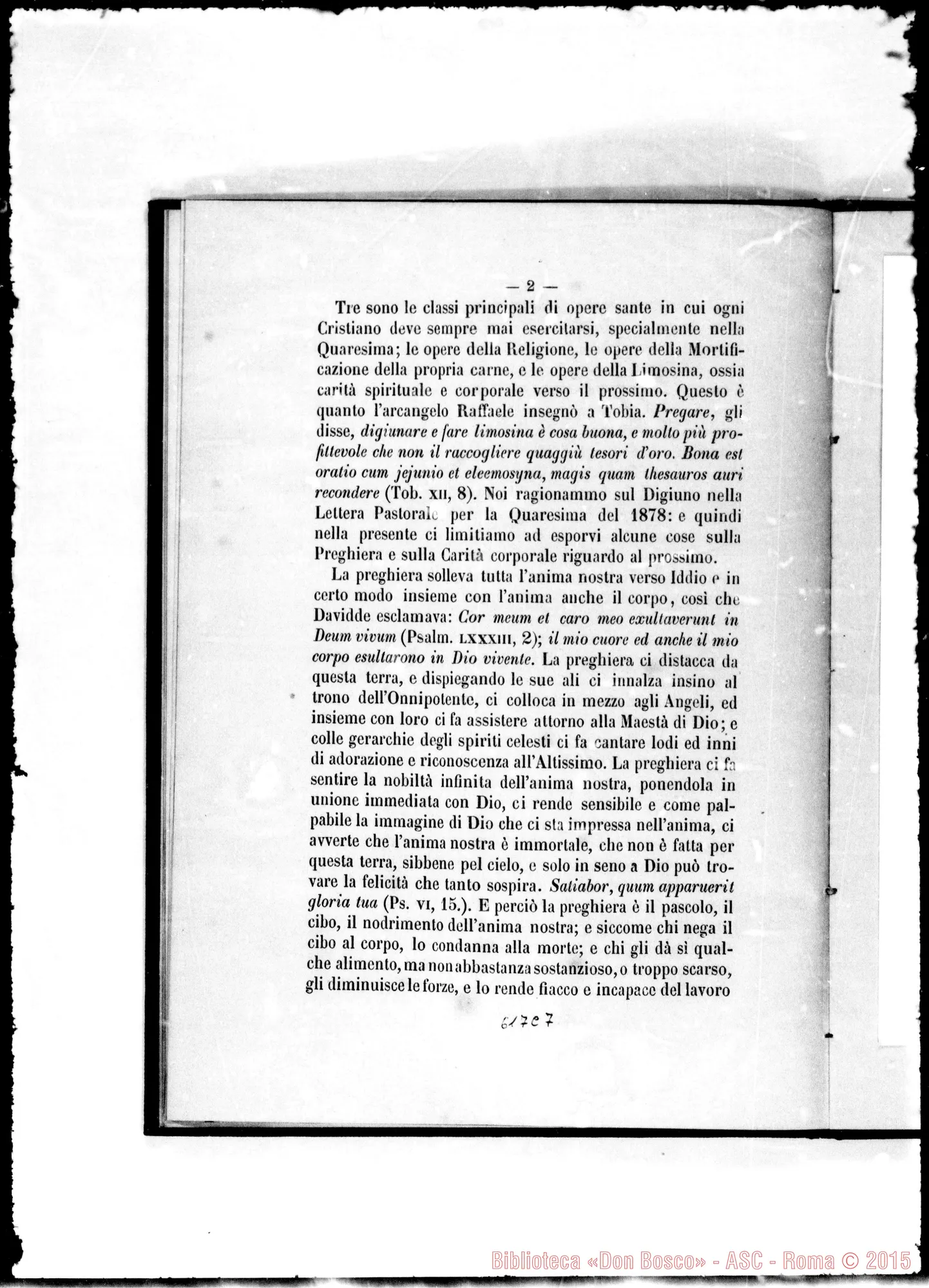 Fotogramma C 7 — 1880