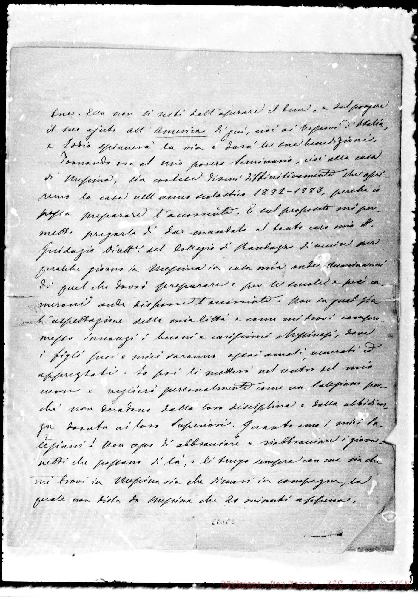 Fotogramma C 2 — Guarino-Bosco. 1-12-1881