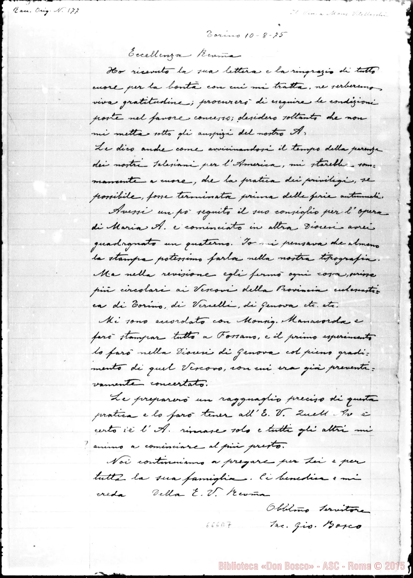 Fotogramma E 7 — Bosco-Vitelleschi. 10- 8-1875. Copia