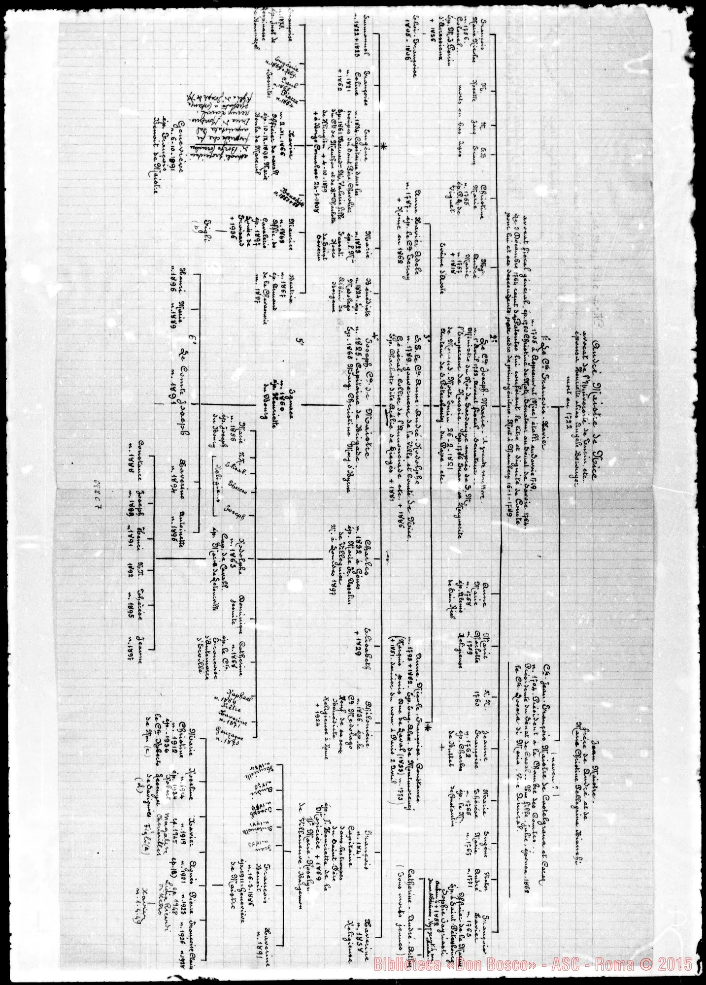 Fotogramma C 7 — Maistre, Famiglia: Albero genealogico
