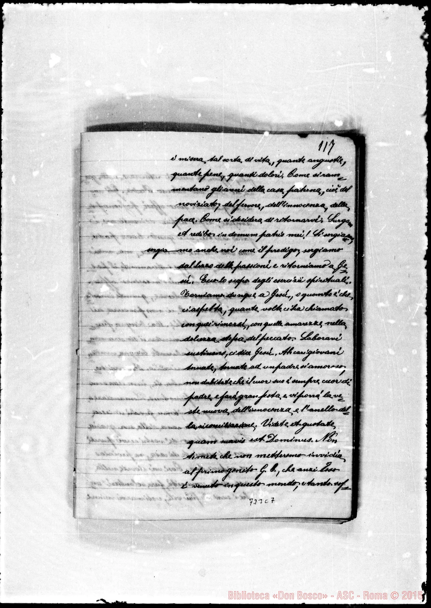 Fotogramma C 7