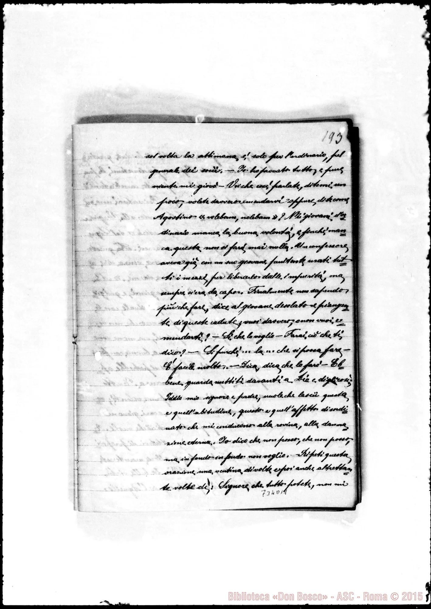 Fotogramma D 11