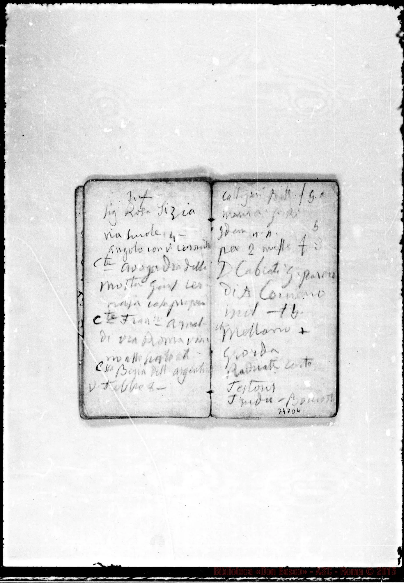 Fotogramma D 4 — 1878-81. Note