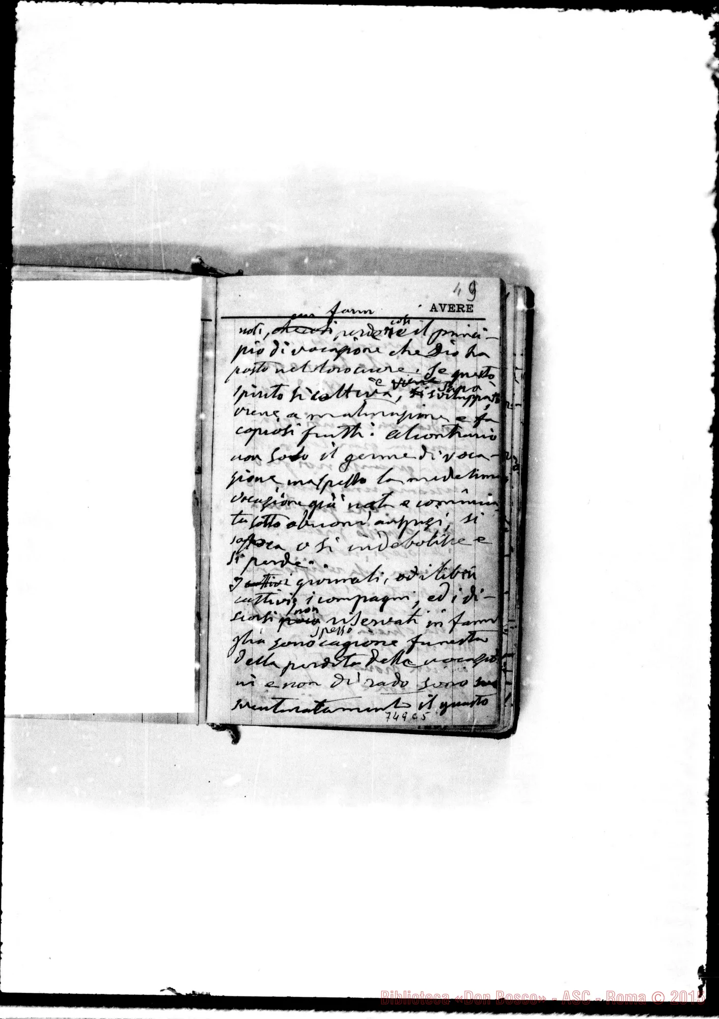 Fotogramma C 5
