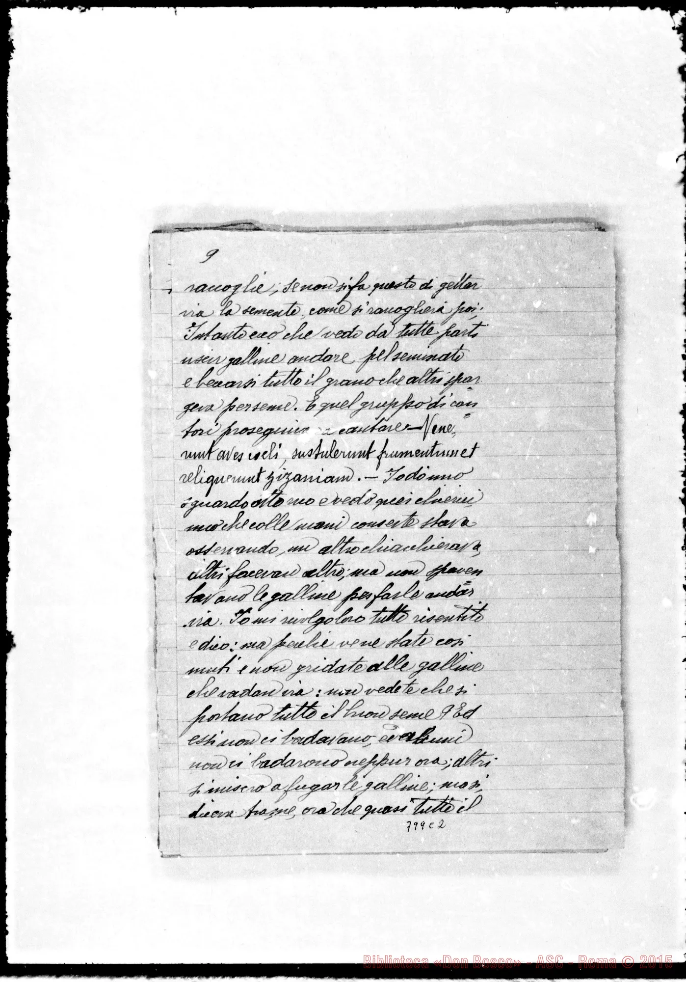 Fotogramma C 2