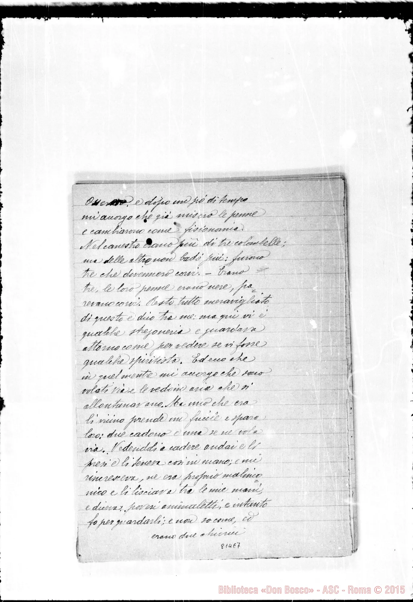 Fotogramma E 7