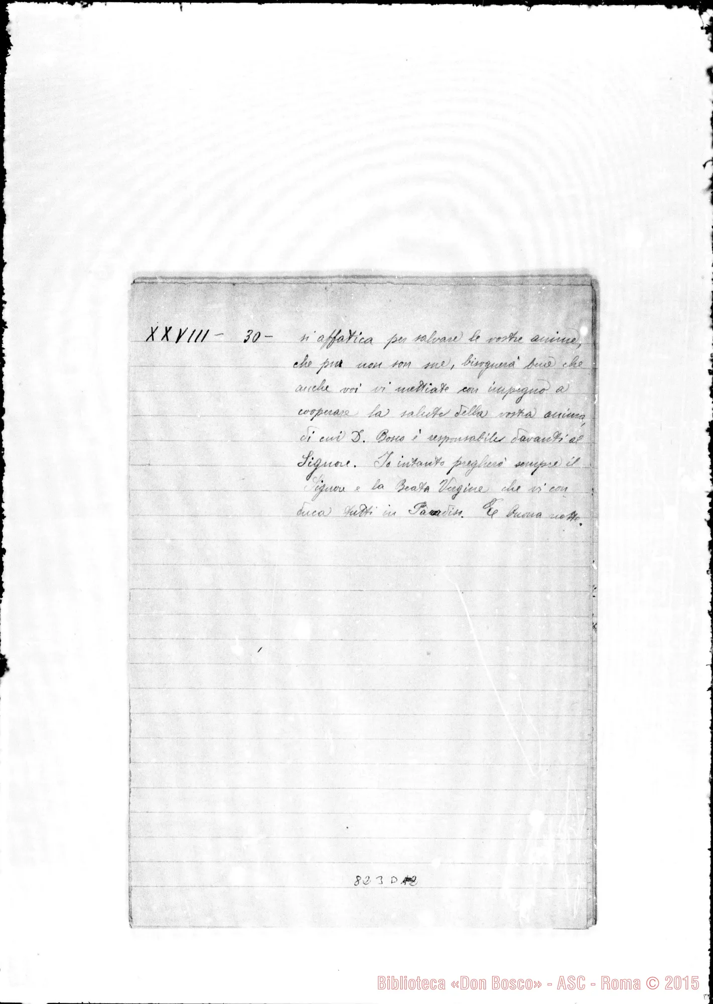 Fotogramma D 12