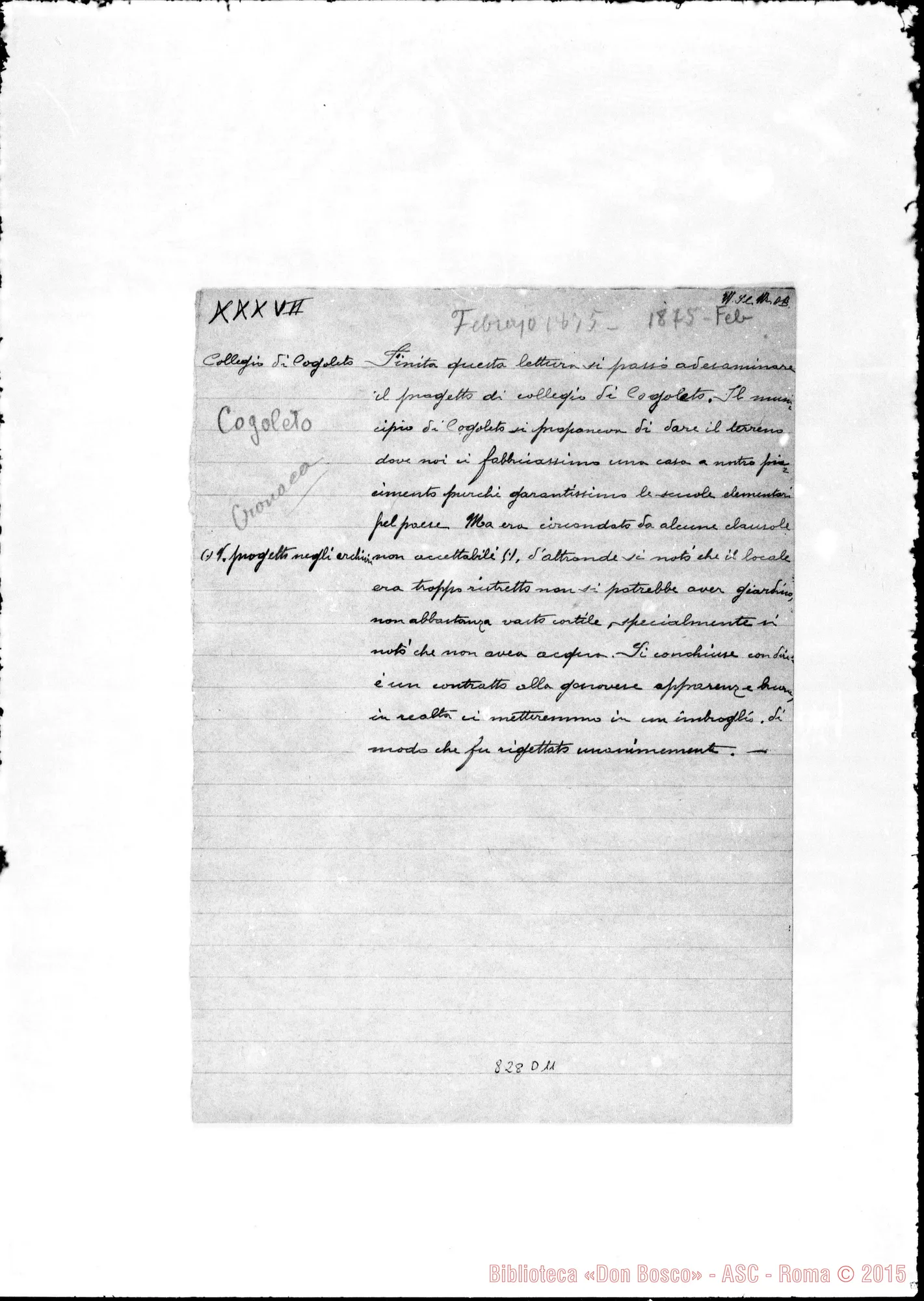 Fotogramma D 11