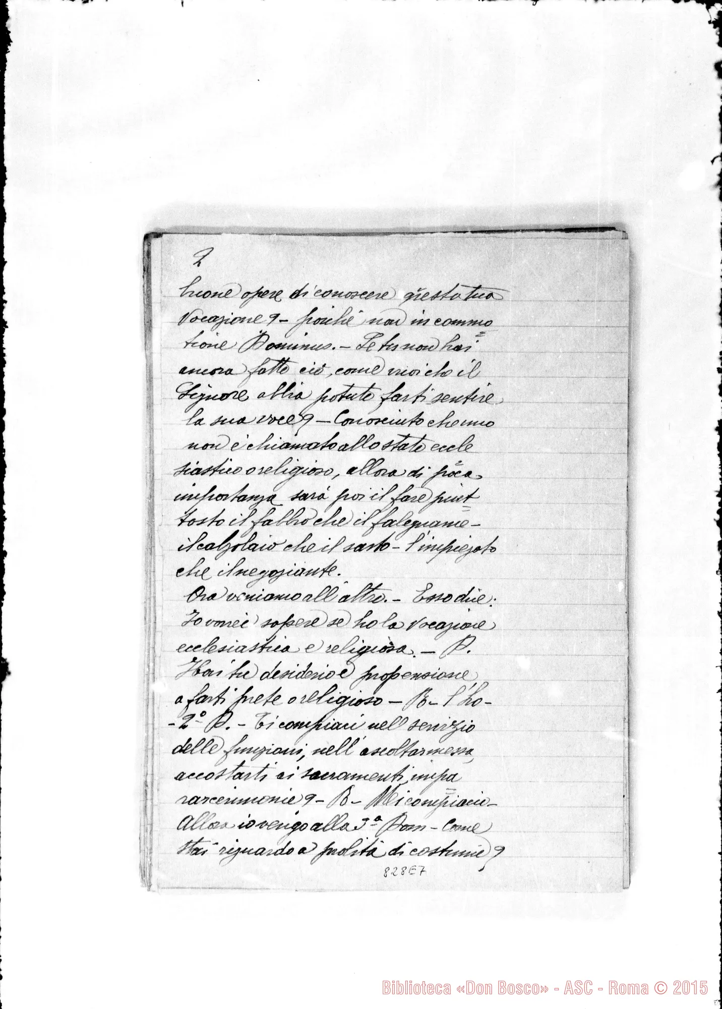 Fotogramma E 7