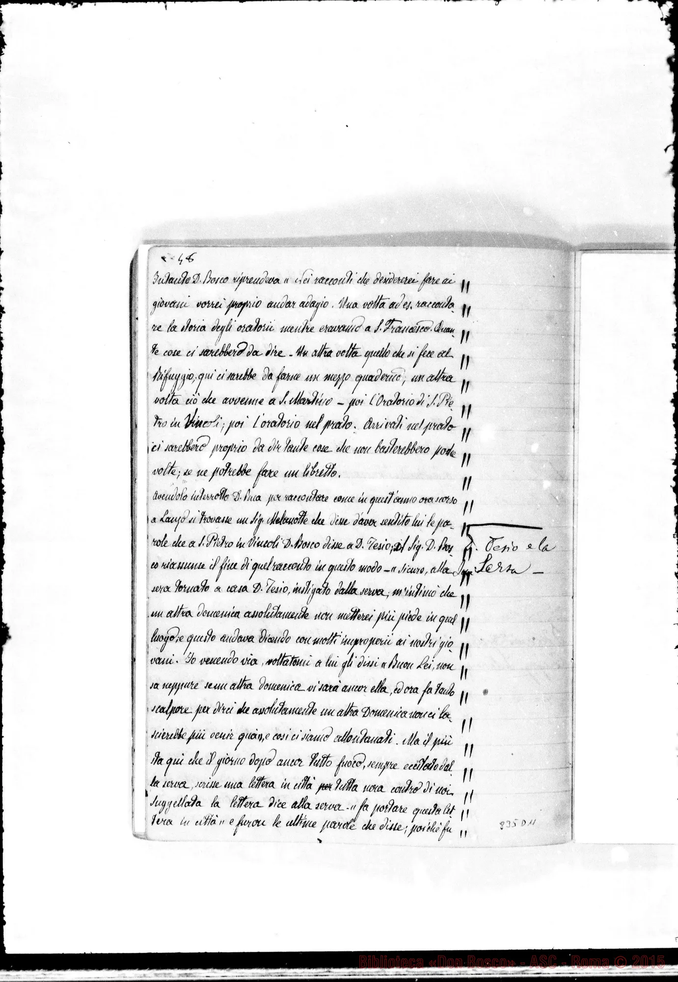 Fotogramma D 11