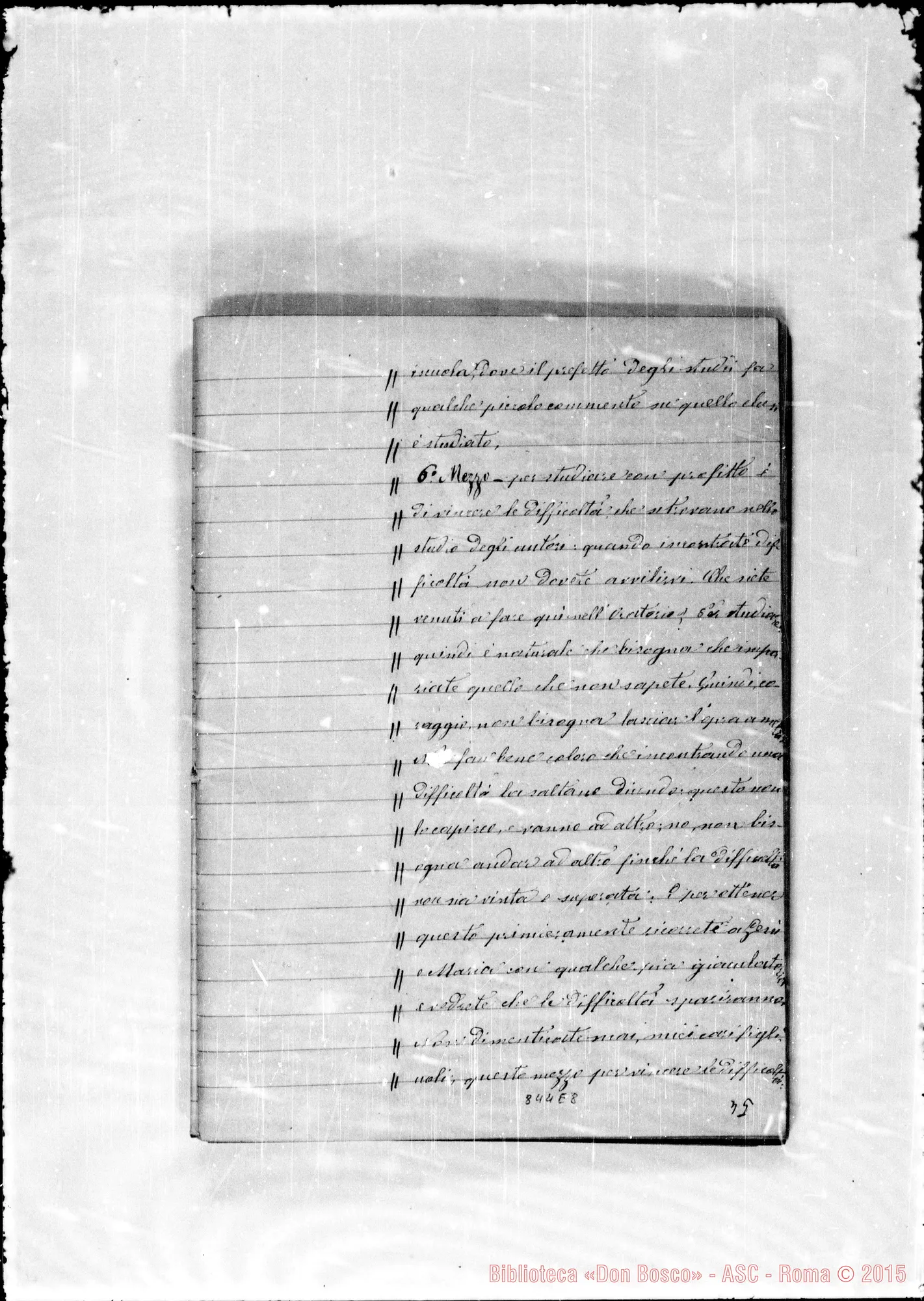 Fotogramma E 8