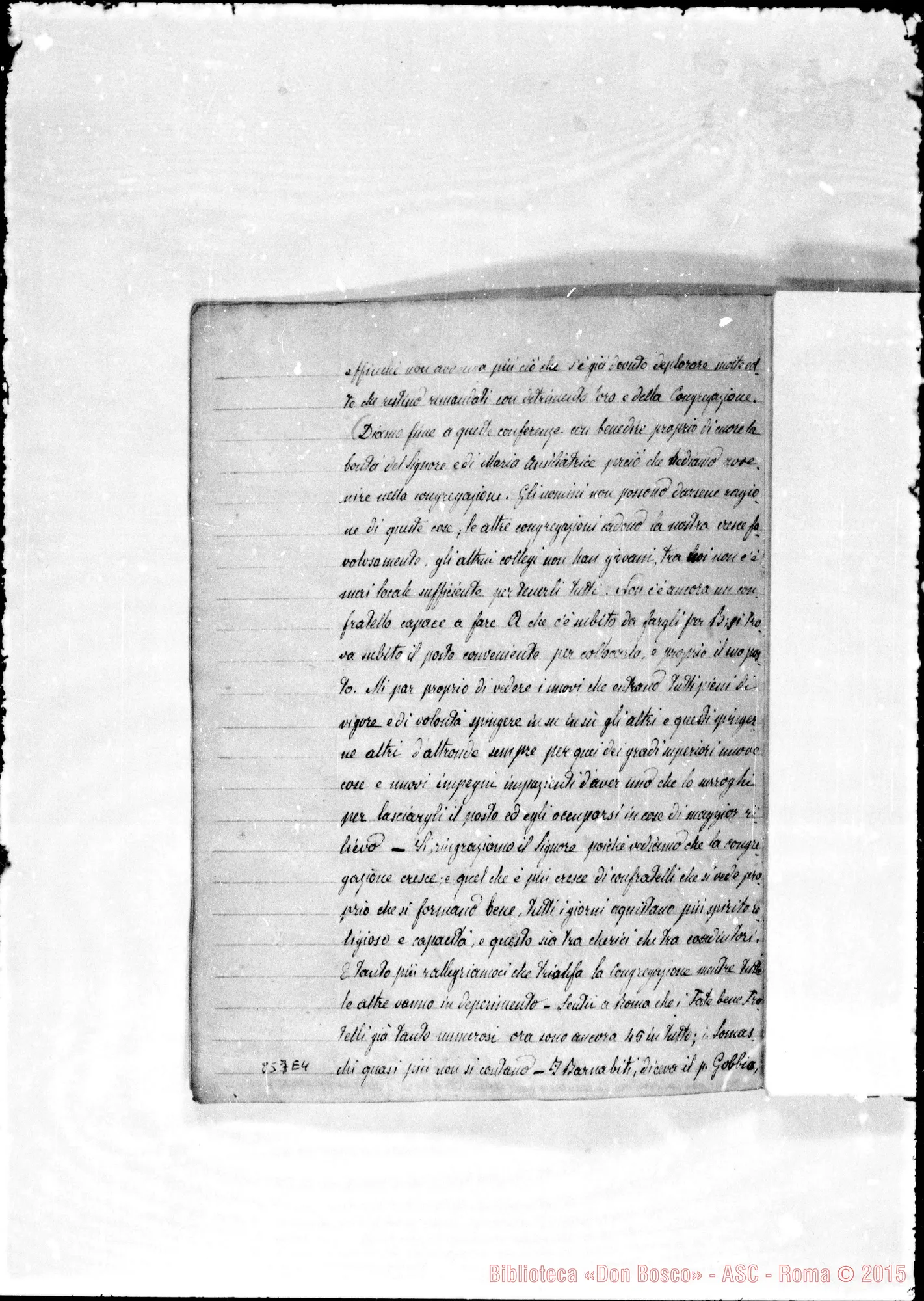 Fotogramma E 4