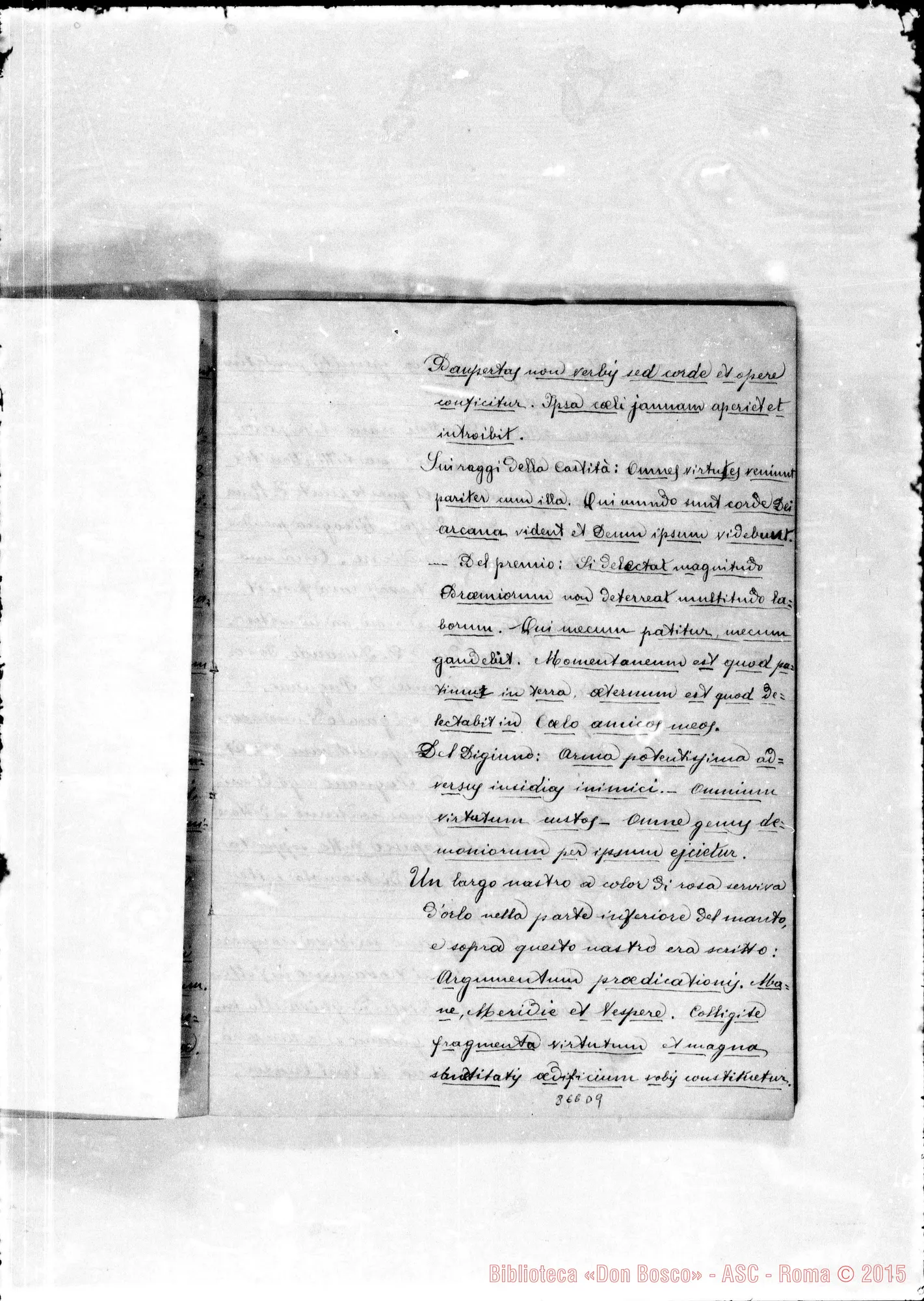 Fotogramma D 9