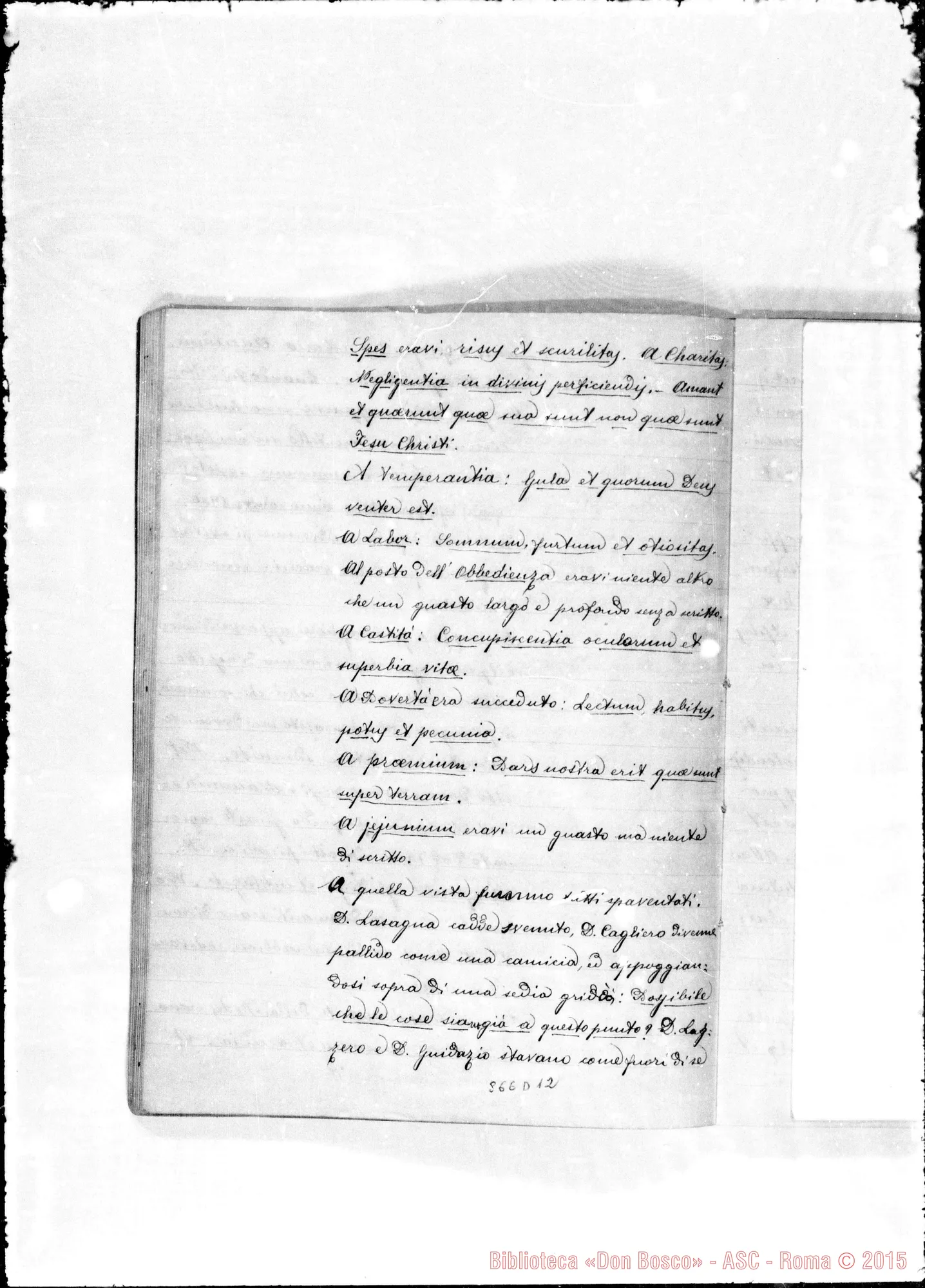 Fotogramma D 12