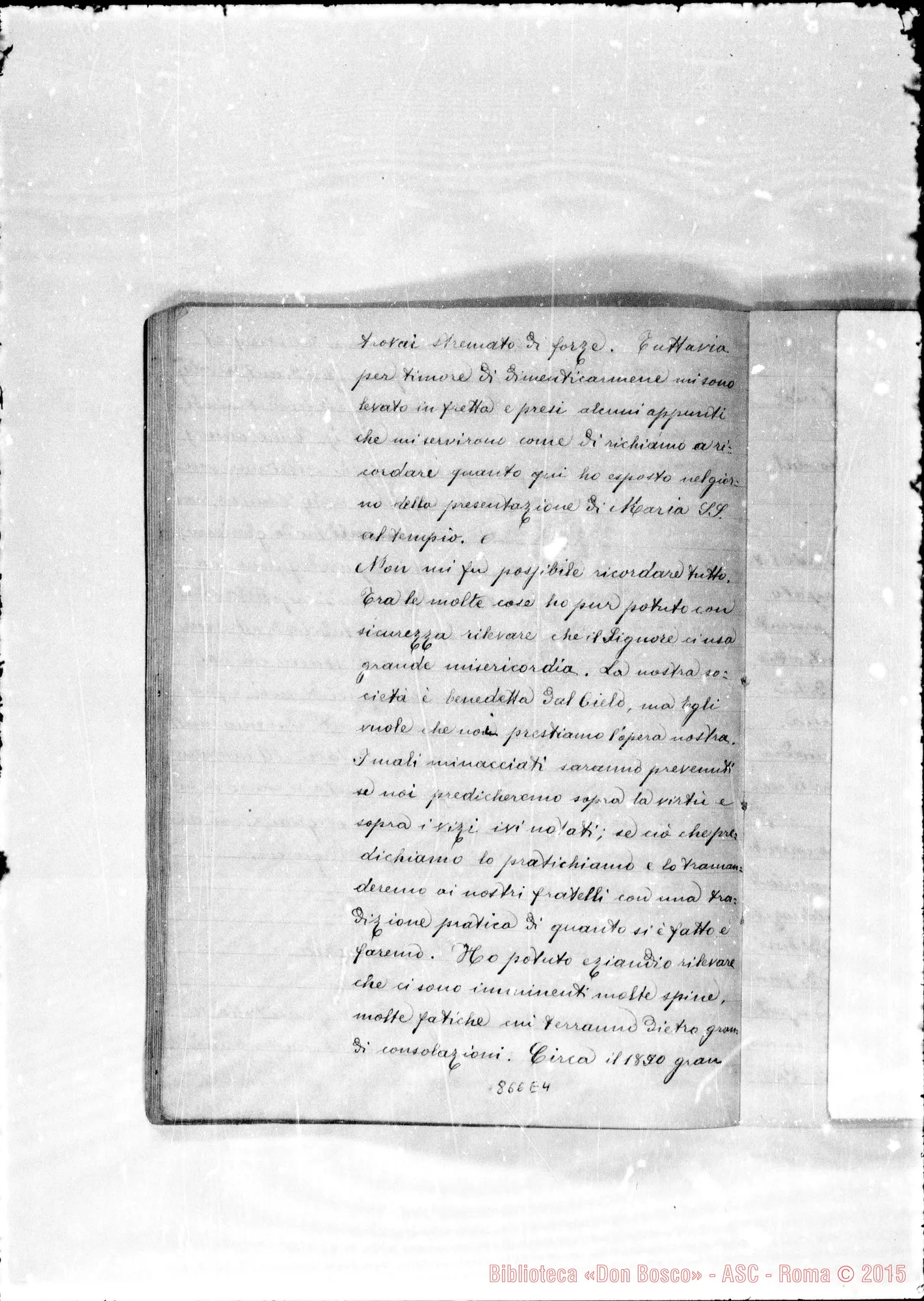 Fotogramma E 4