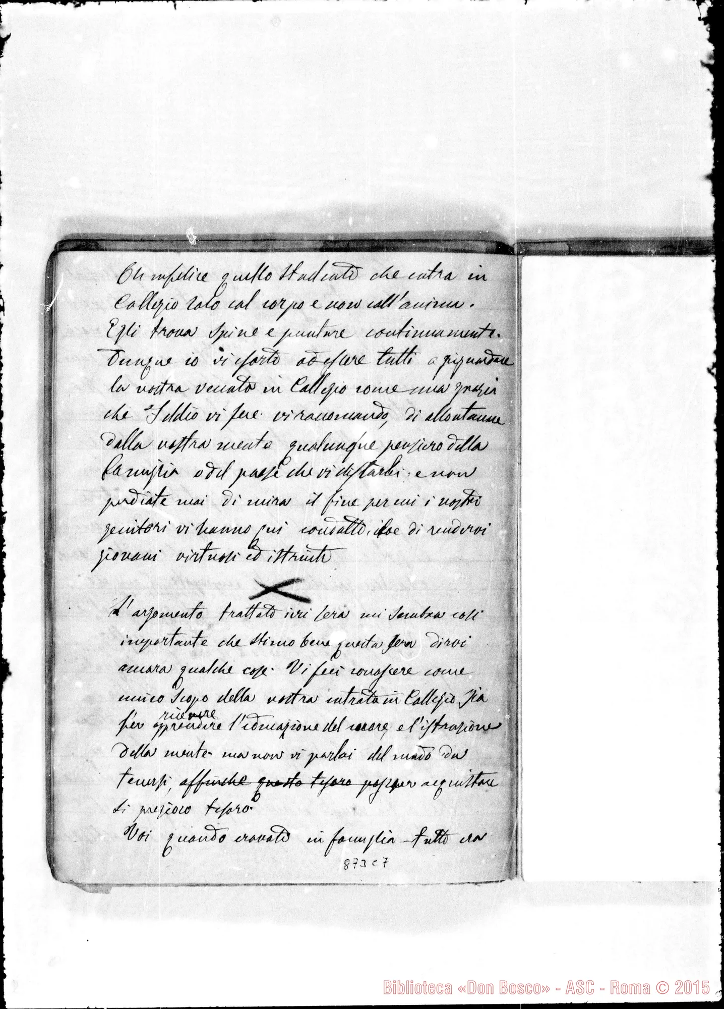 Fotogramma C 7