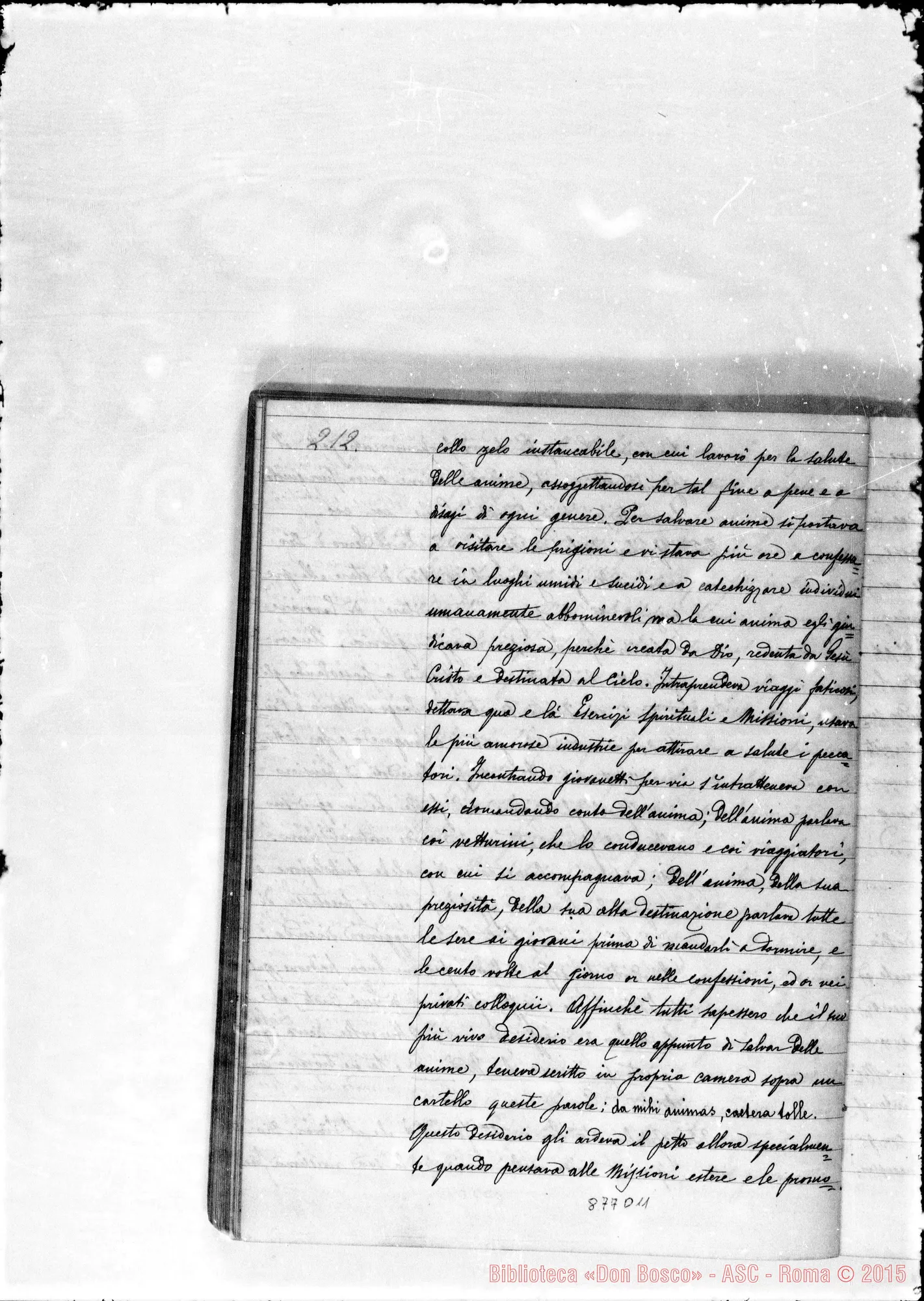 Fotogramma D 11