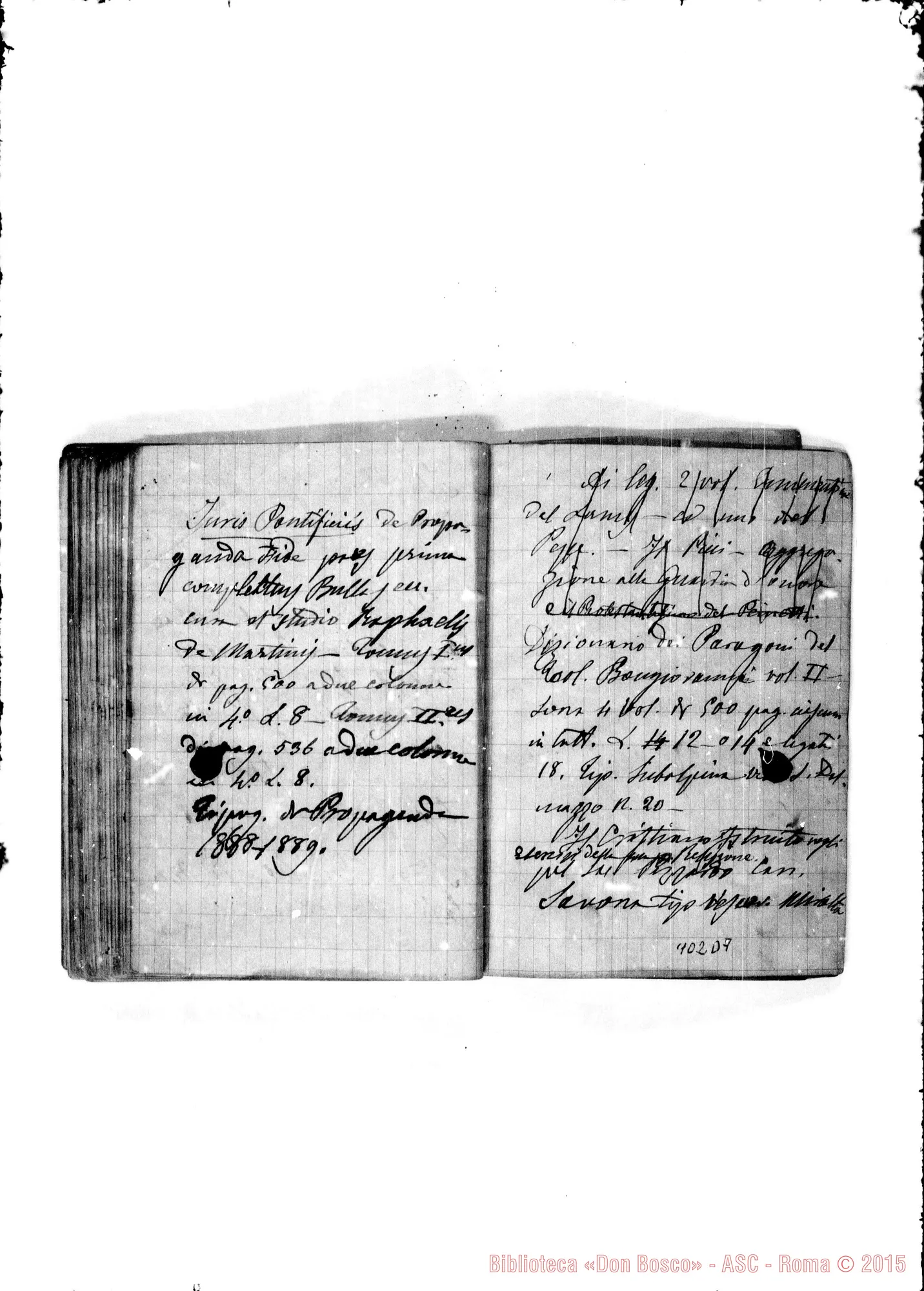 Fotogramma D 7