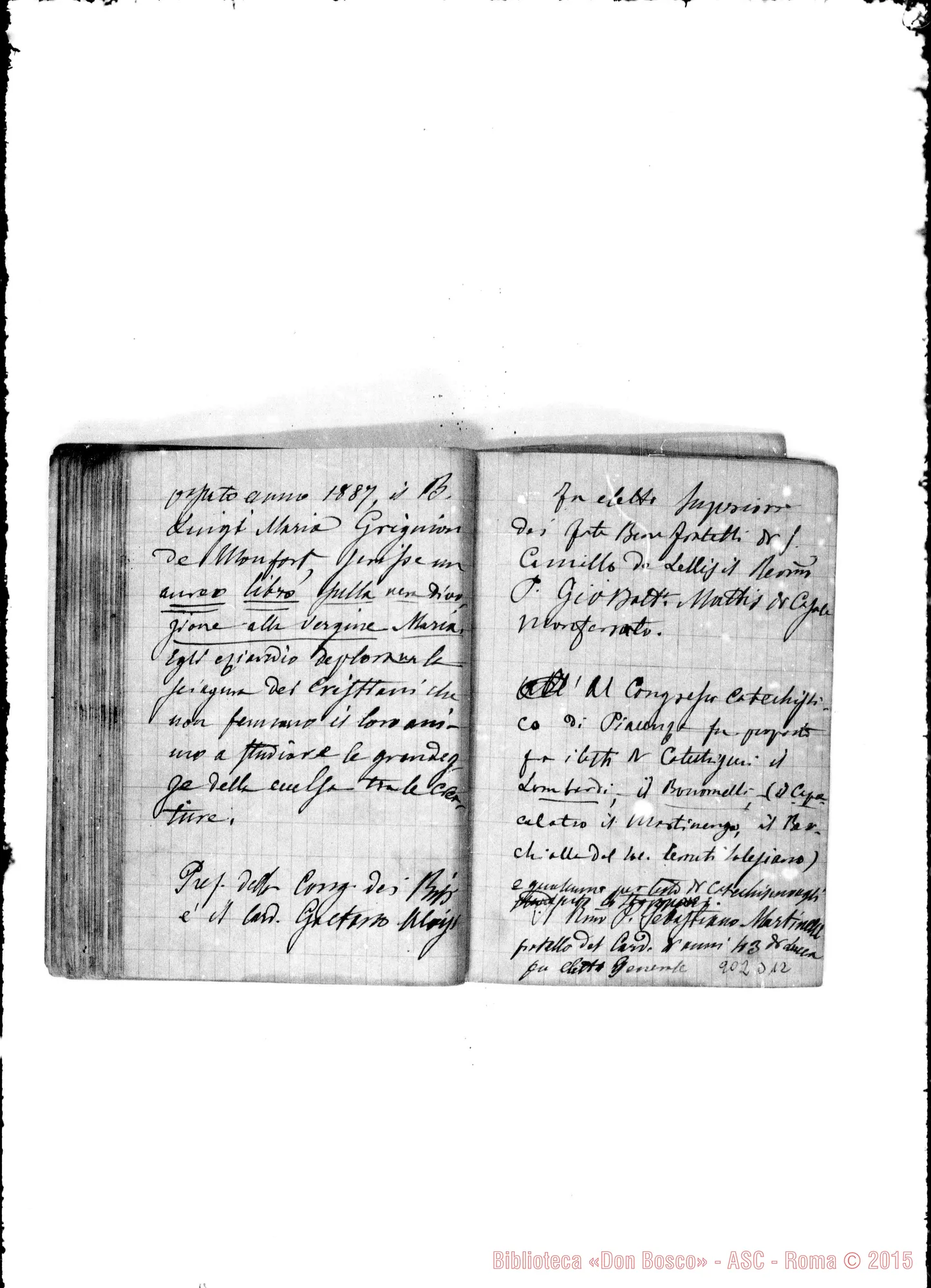 Fotogramma D 12