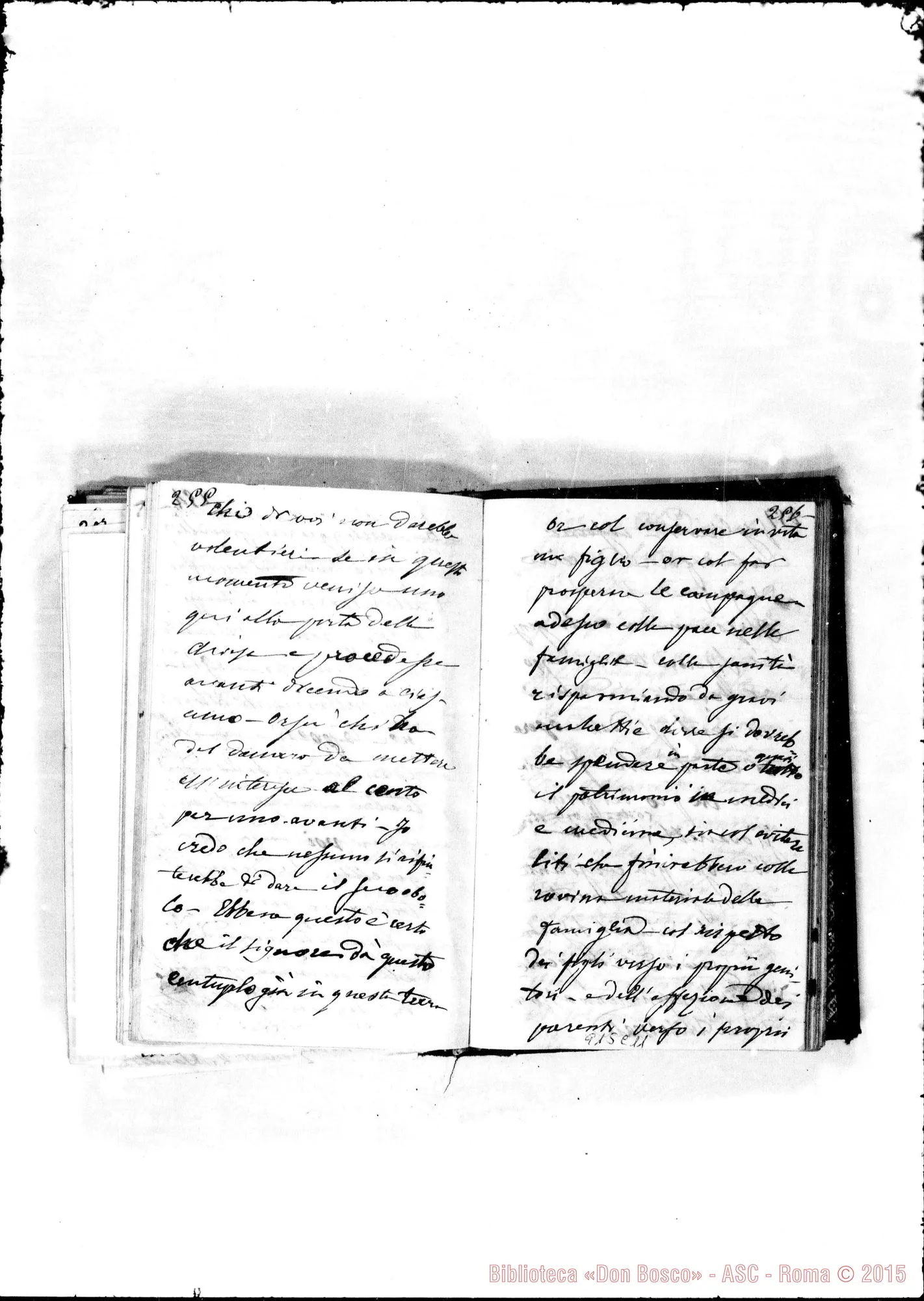 Fotogramma C 11