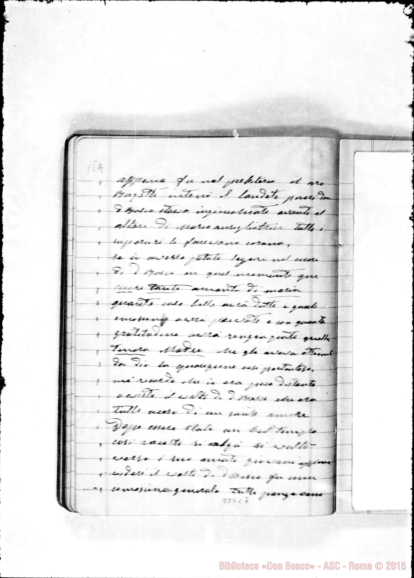 Fotogramma C 7